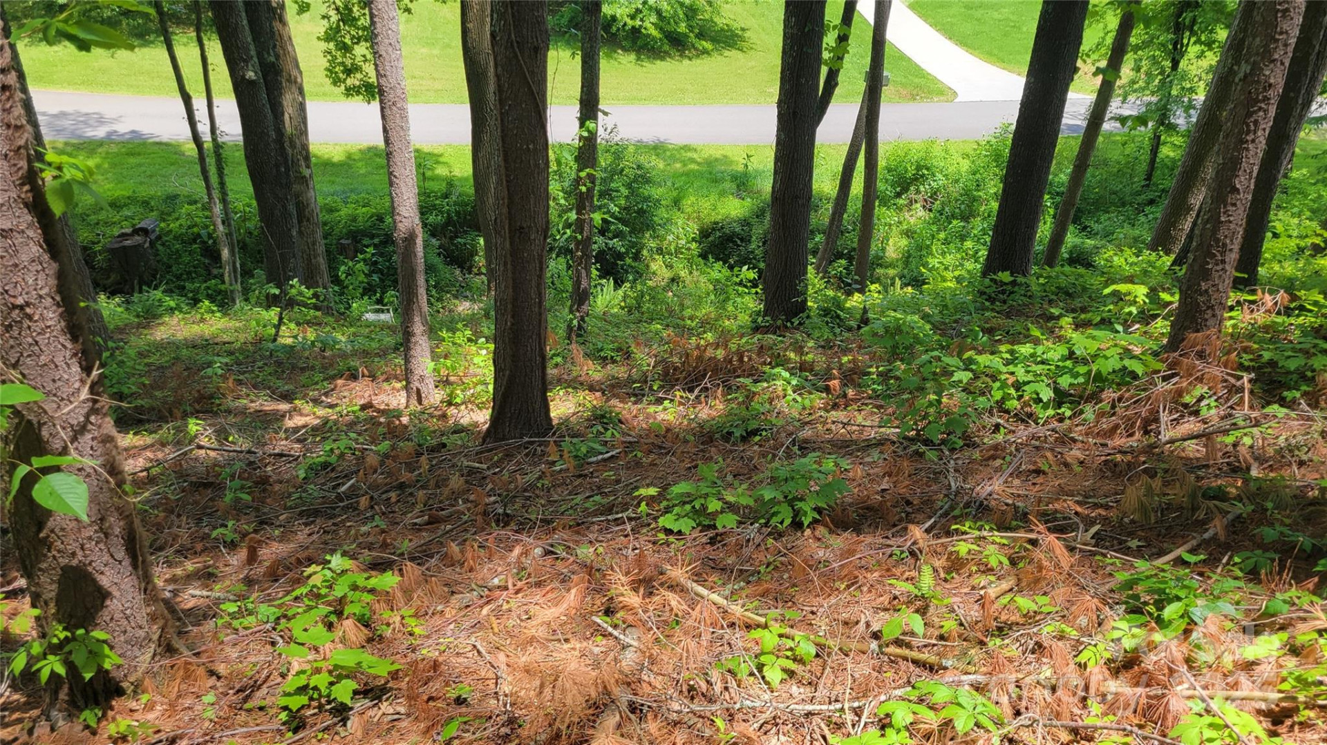 51 Barebridge Fields Road #51 - Photo 6