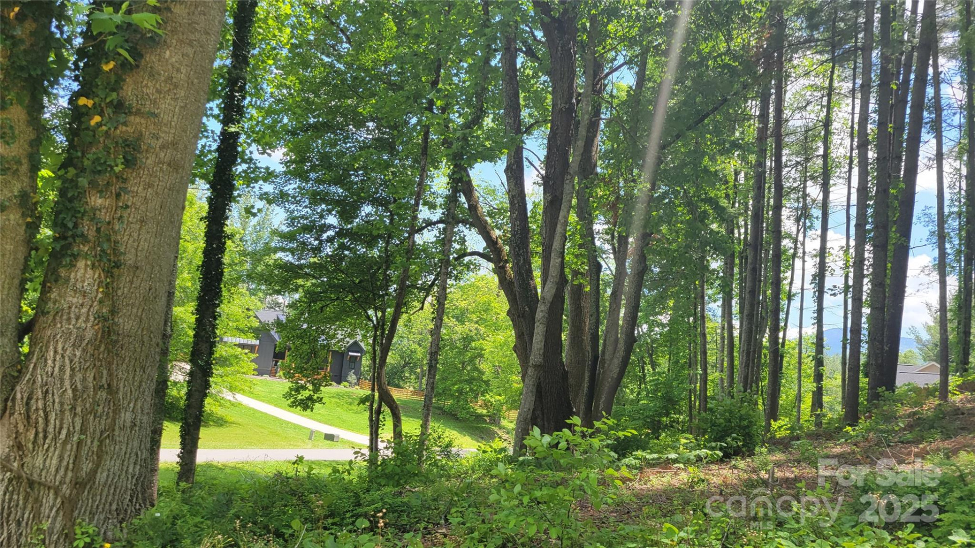 51 Barebridge Fields Road #51 - Photo 7