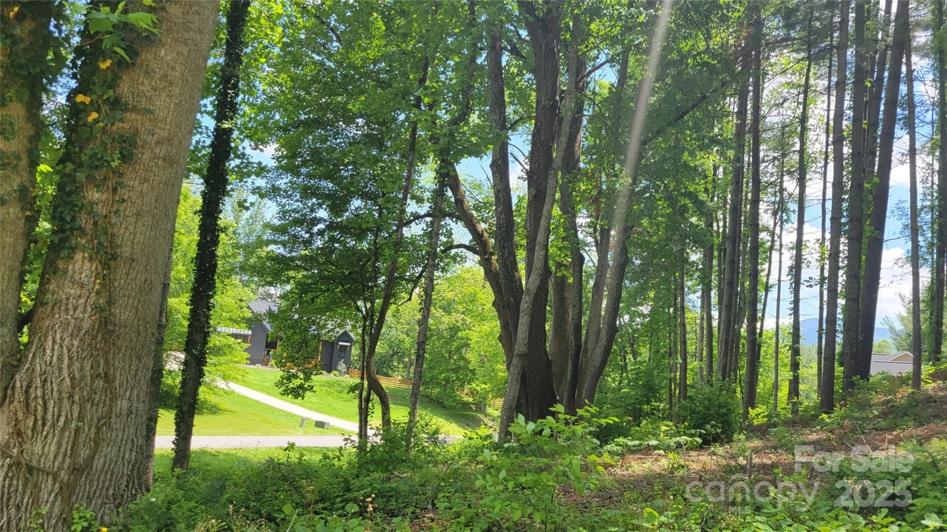 51 Barebridge Fields Road #51 - Photo 7
