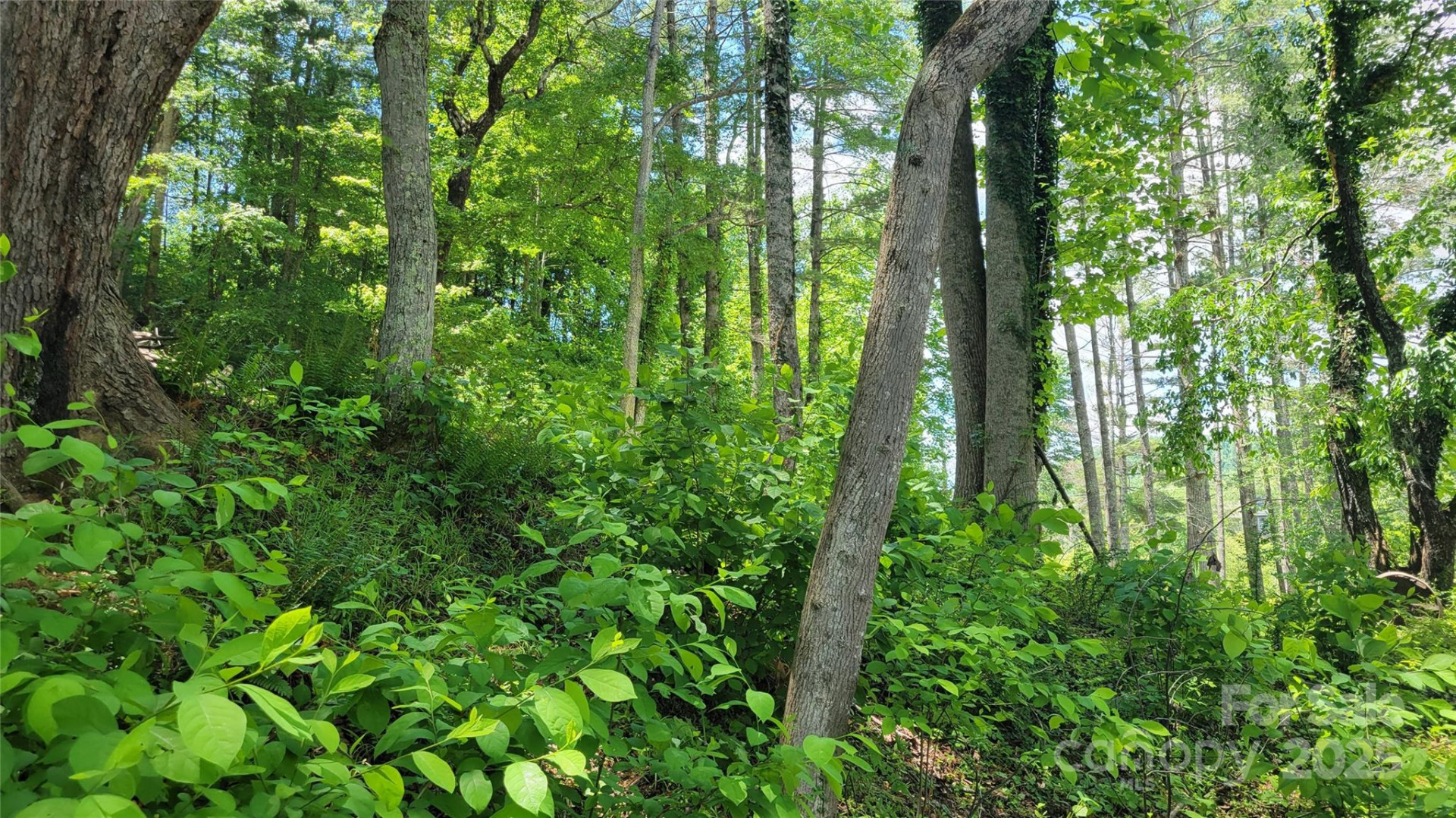 51 Barebridge Fields Road #51 - Photo 9