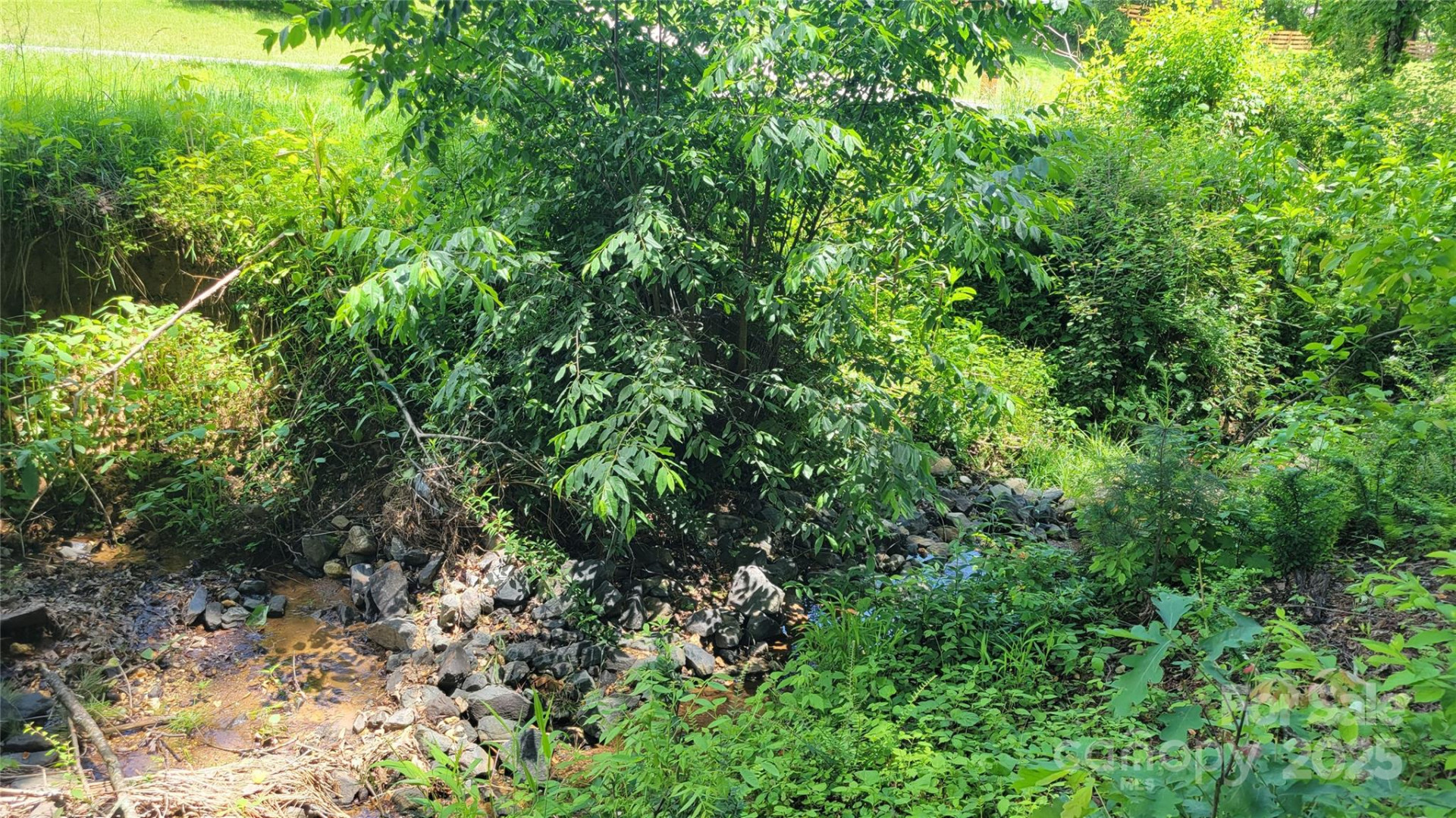 51 Barebridge Fields Road #51 - Photo 10