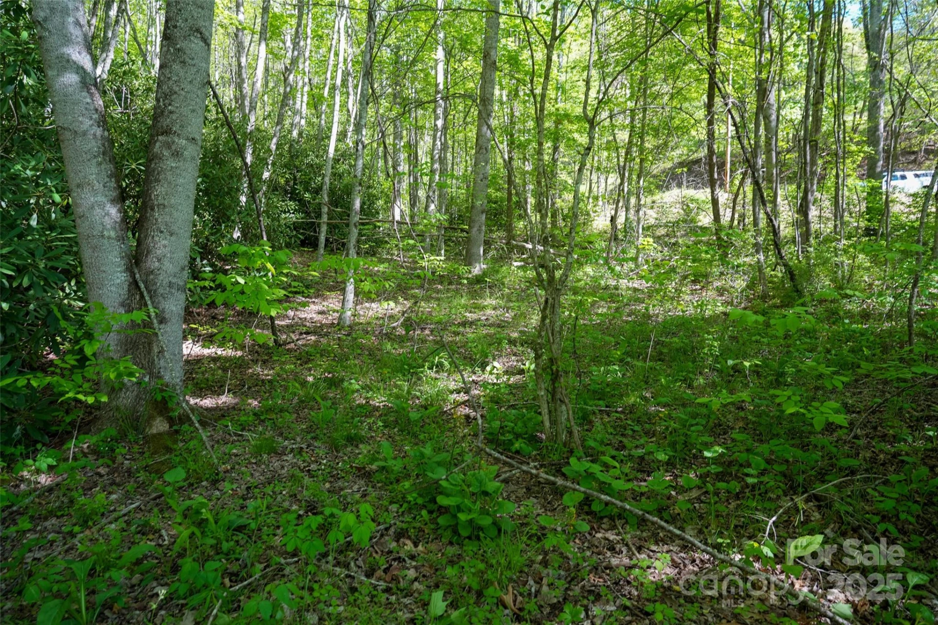 56 Hidden Valley Road - Photo 13