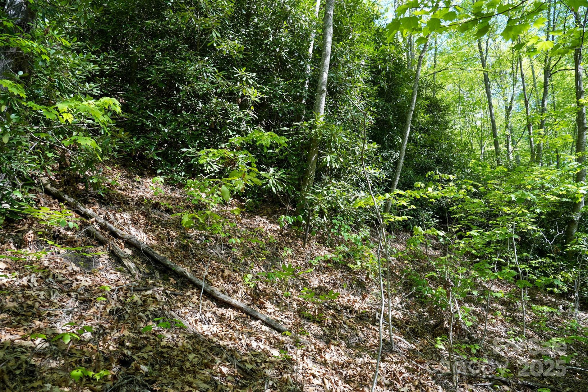 56 Hidden Valley Road - Photo 14