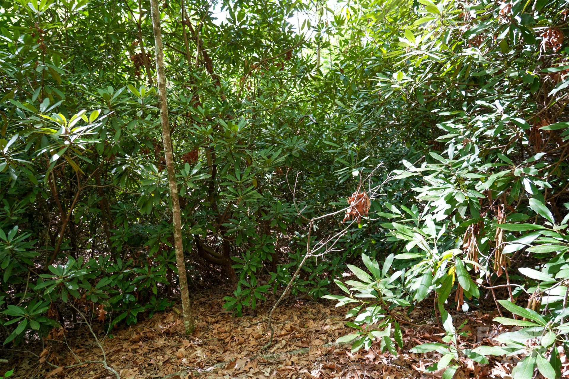 56 Hidden Valley Road - Photo 15