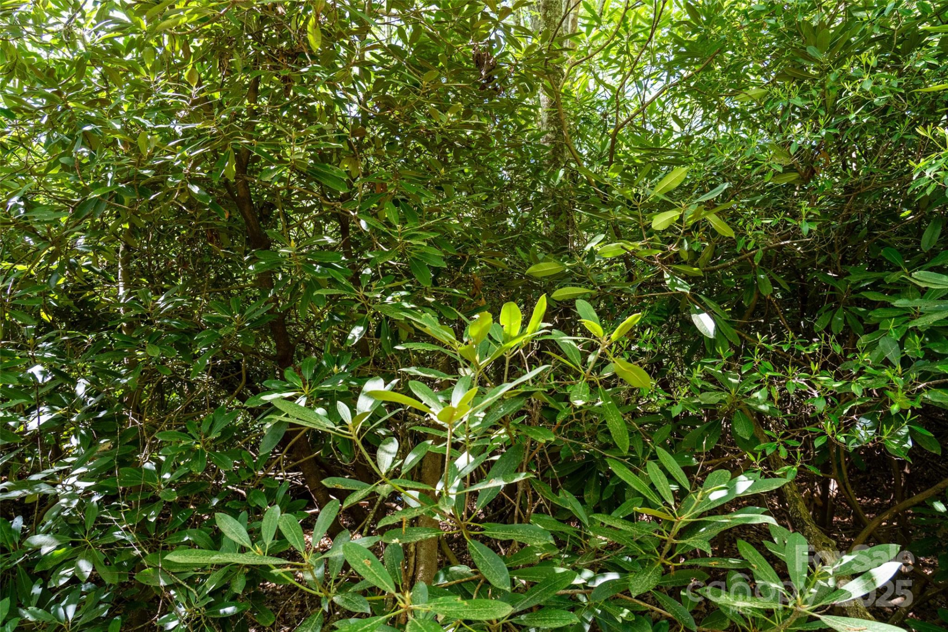 56 Hidden Valley Road - Photo 16
