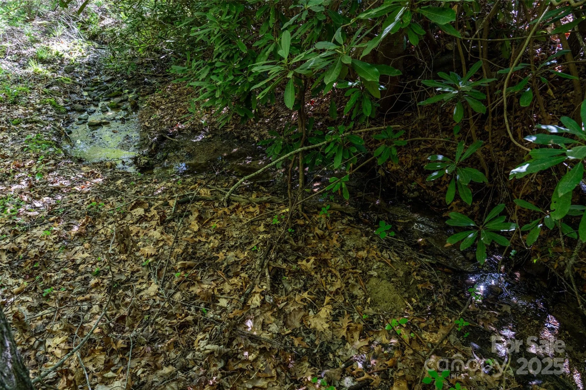 56 Hidden Valley Road - Photo 17