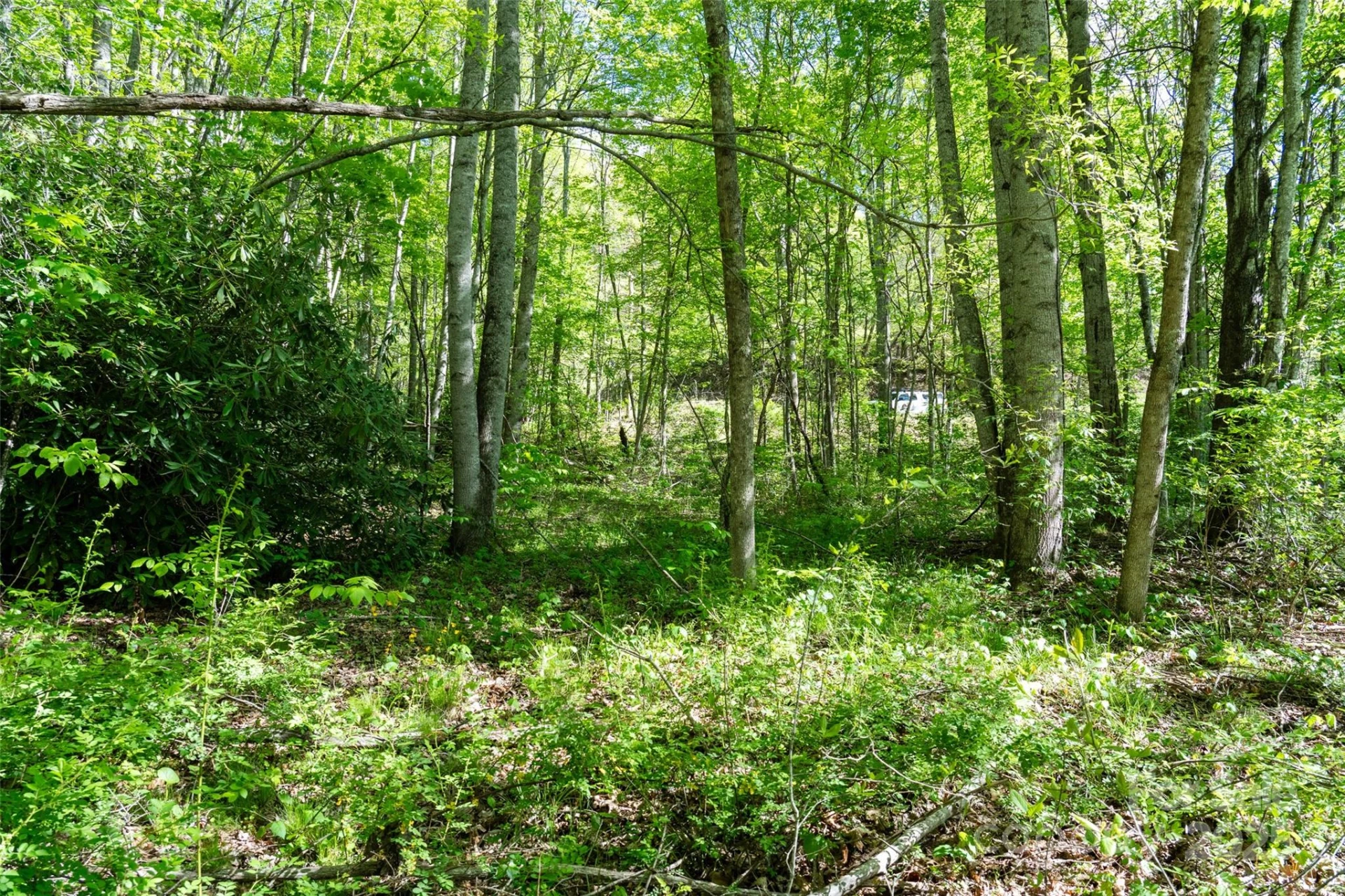 56 Hidden Valley Road - Photo 19
