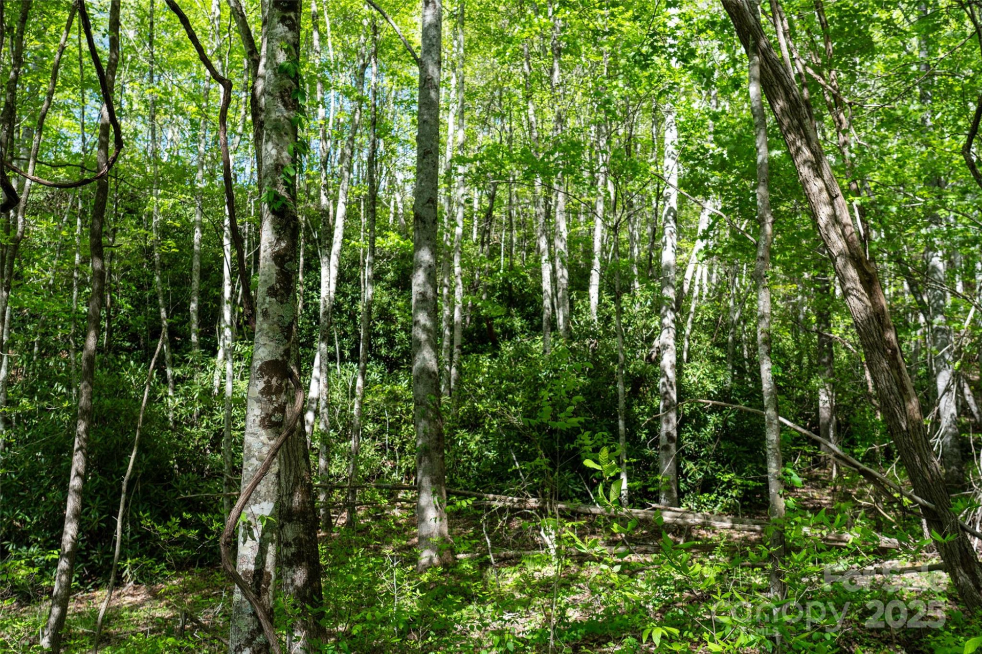 56 Hidden Valley Road - Photo 20