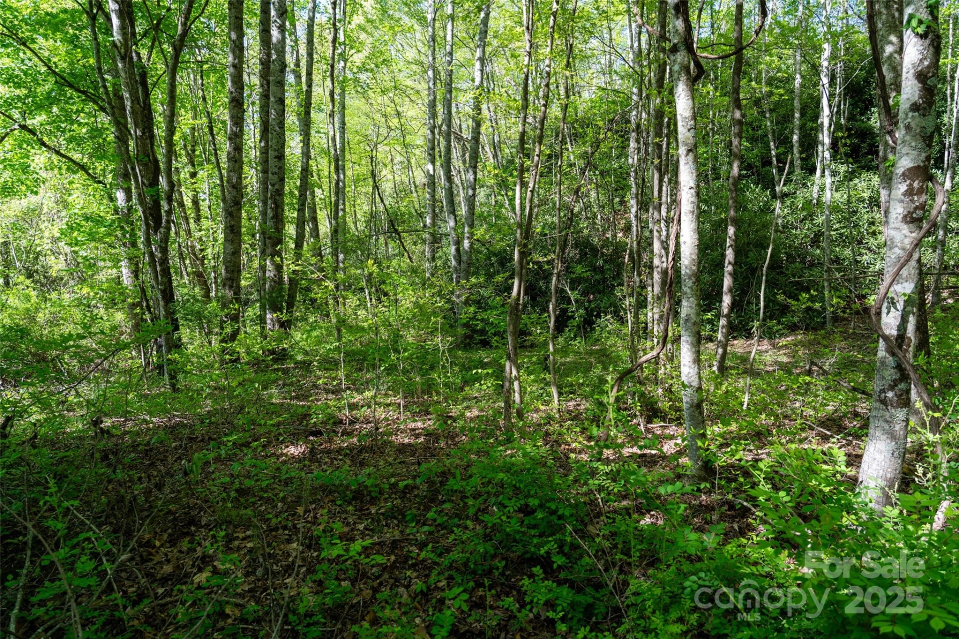 56 Hidden Valley Road - Photo 21
