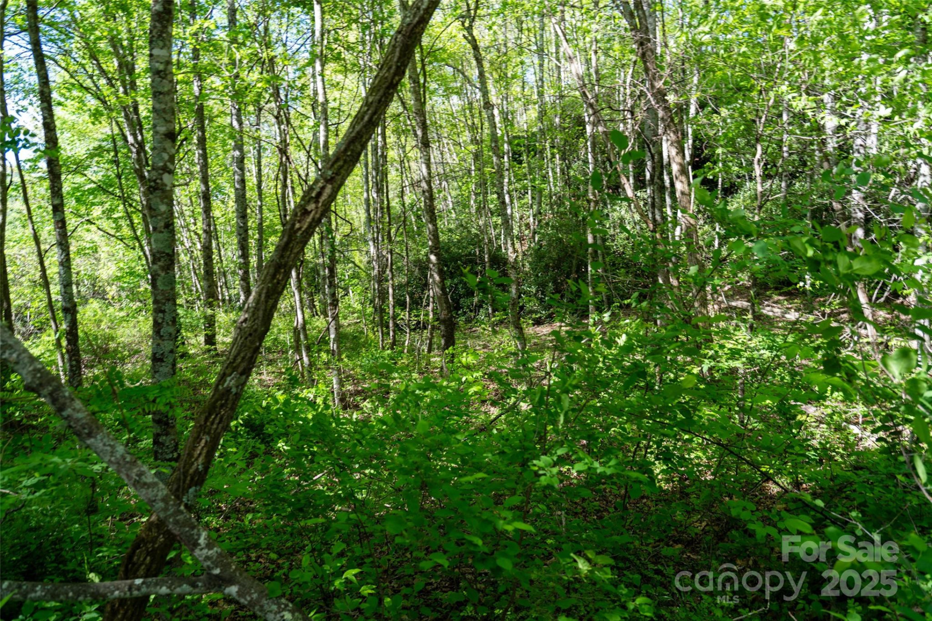 56 Hidden Valley Road - Photo 22