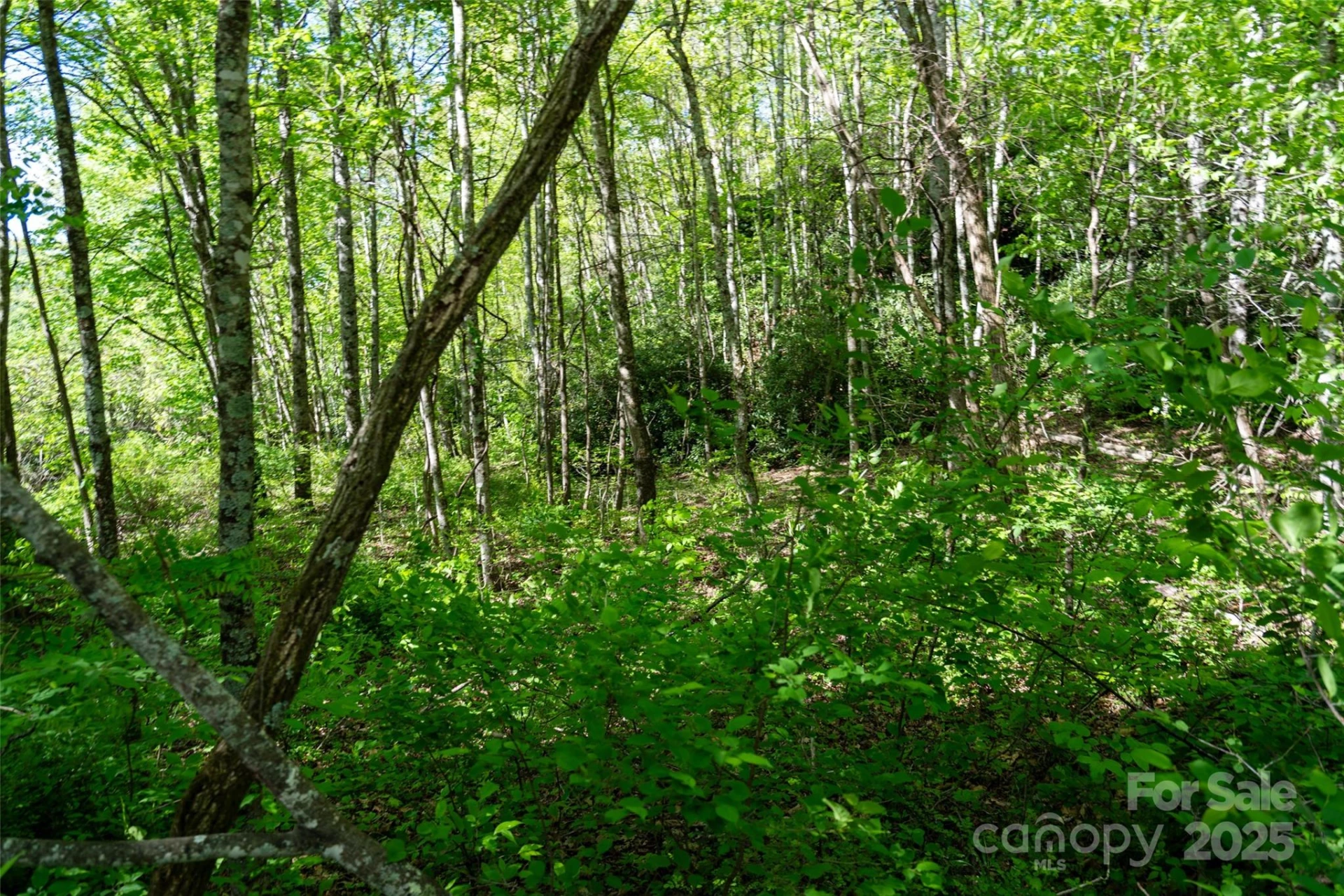 56 Hidden Valley Road - Photo 22
