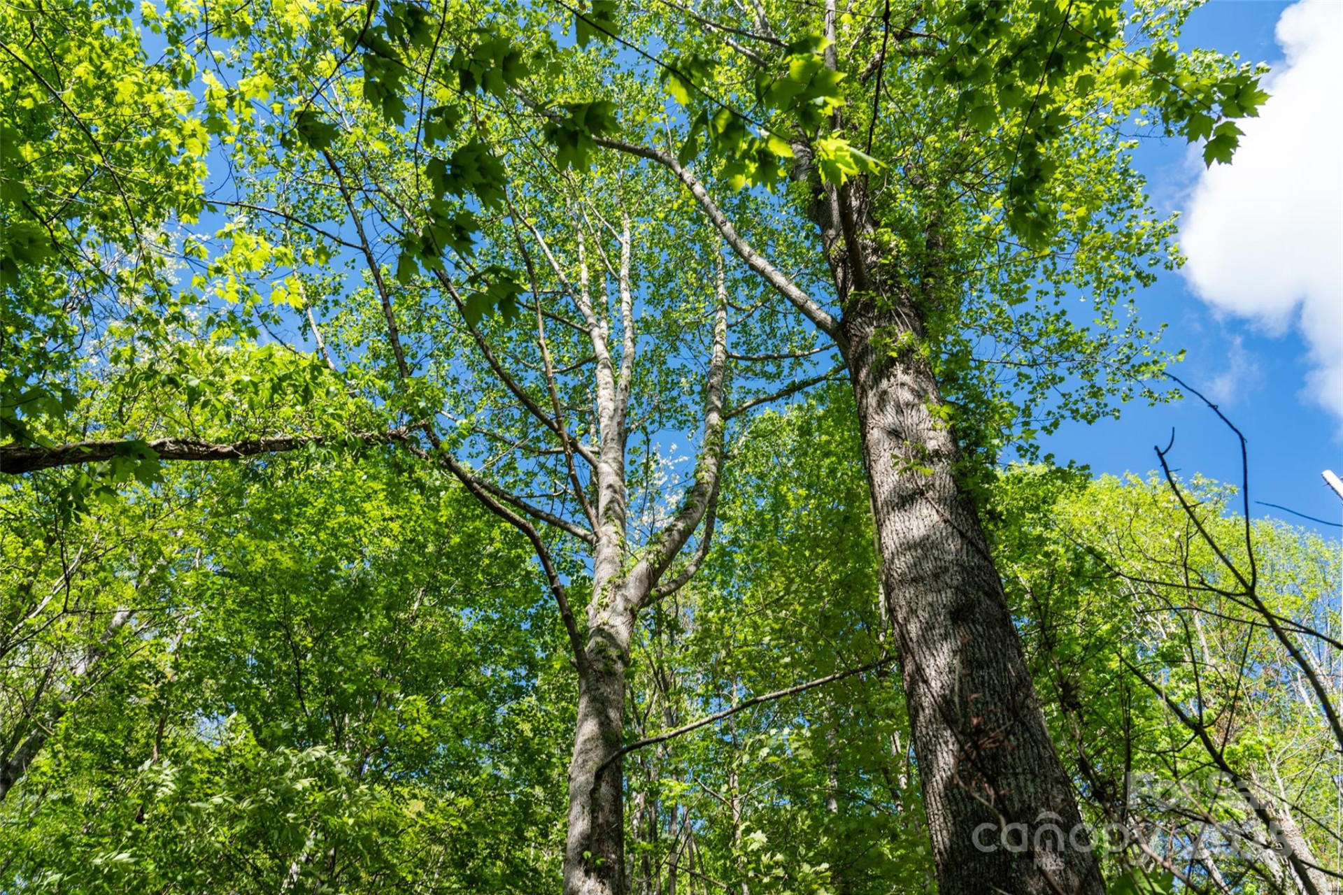 56 Hidden Valley Road - Photo 23