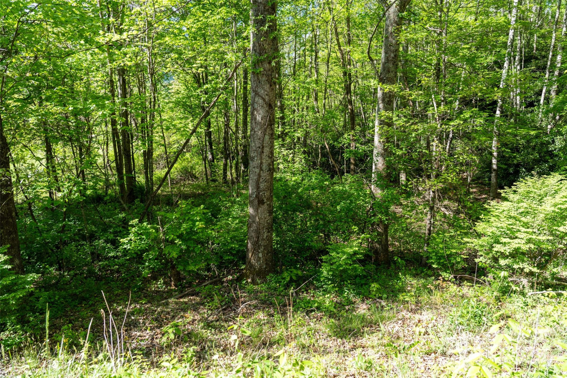 56 Hidden Valley Road - Photo 24