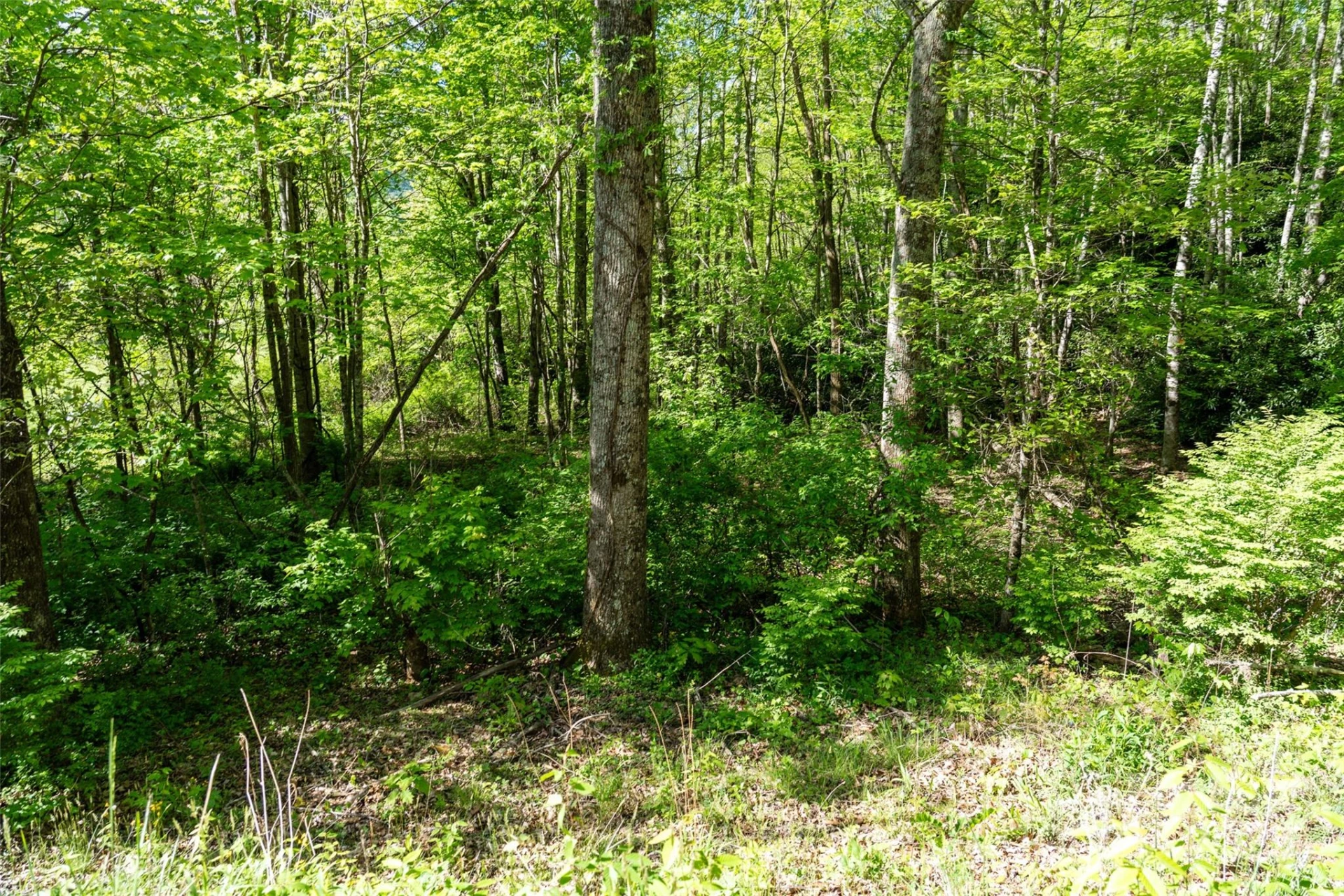 56 Hidden Valley Road - Photo 24