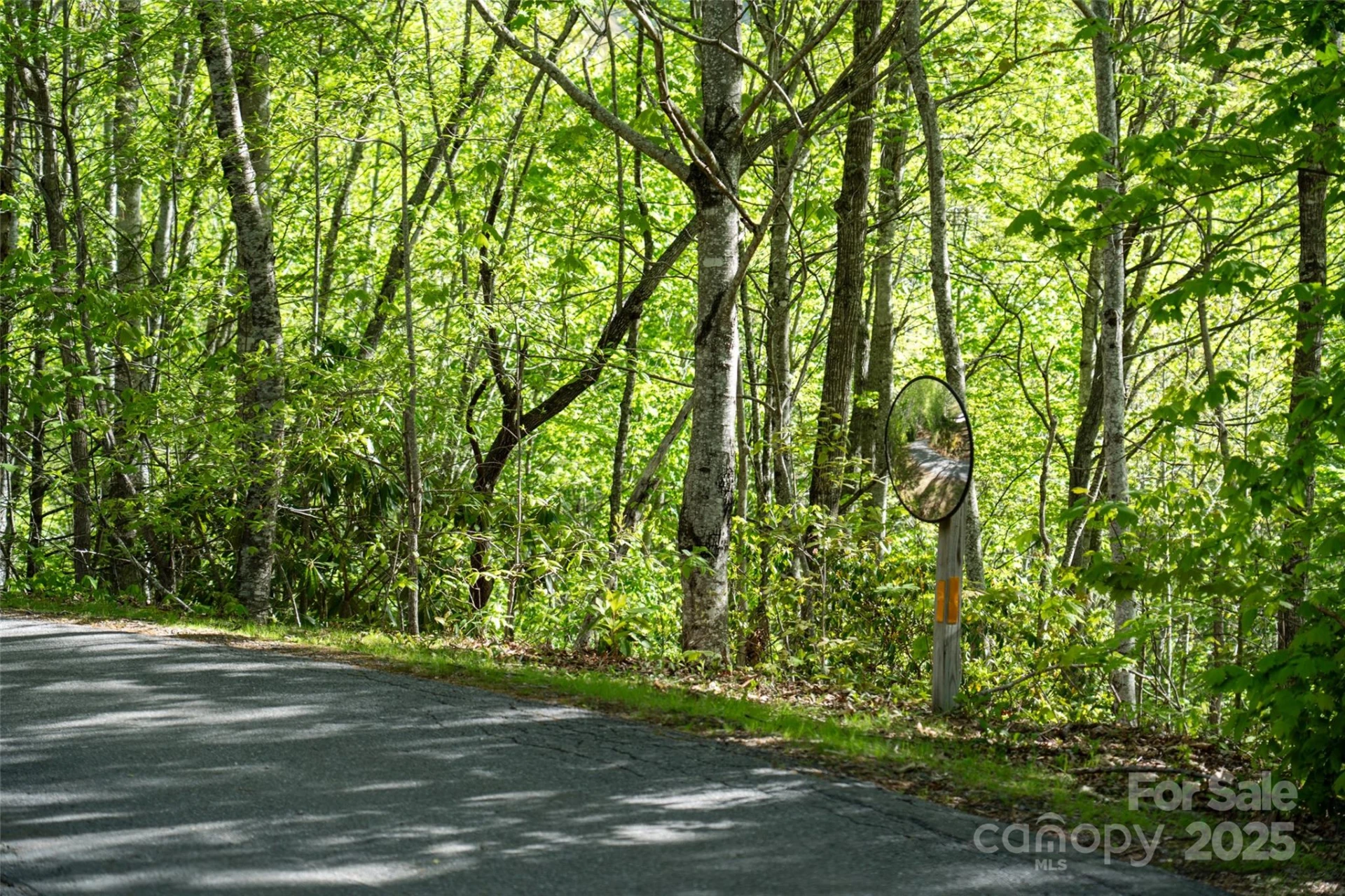 56 Hidden Valley Road - Photo 6