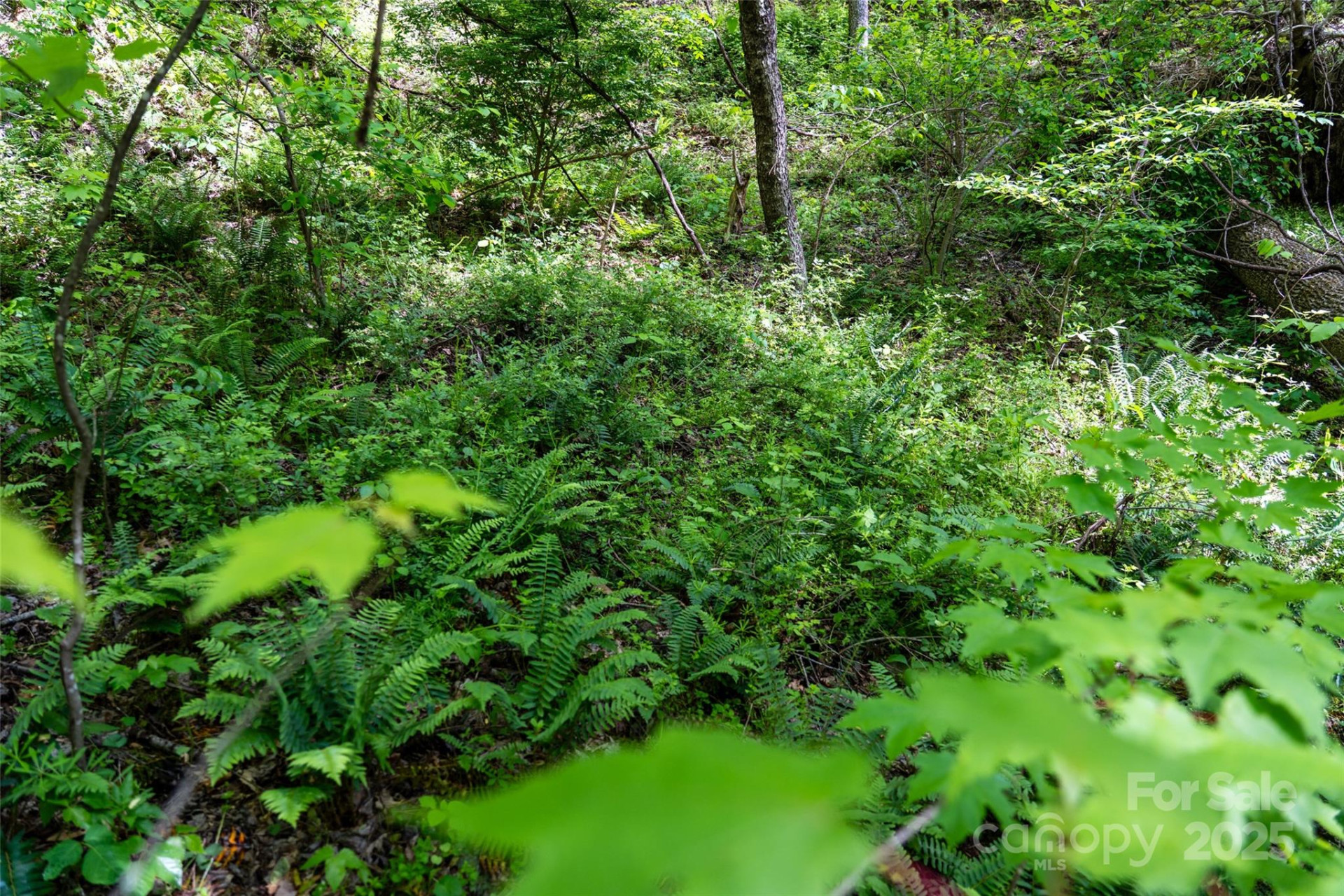 72 Lonesome Pines Road - Photo 13