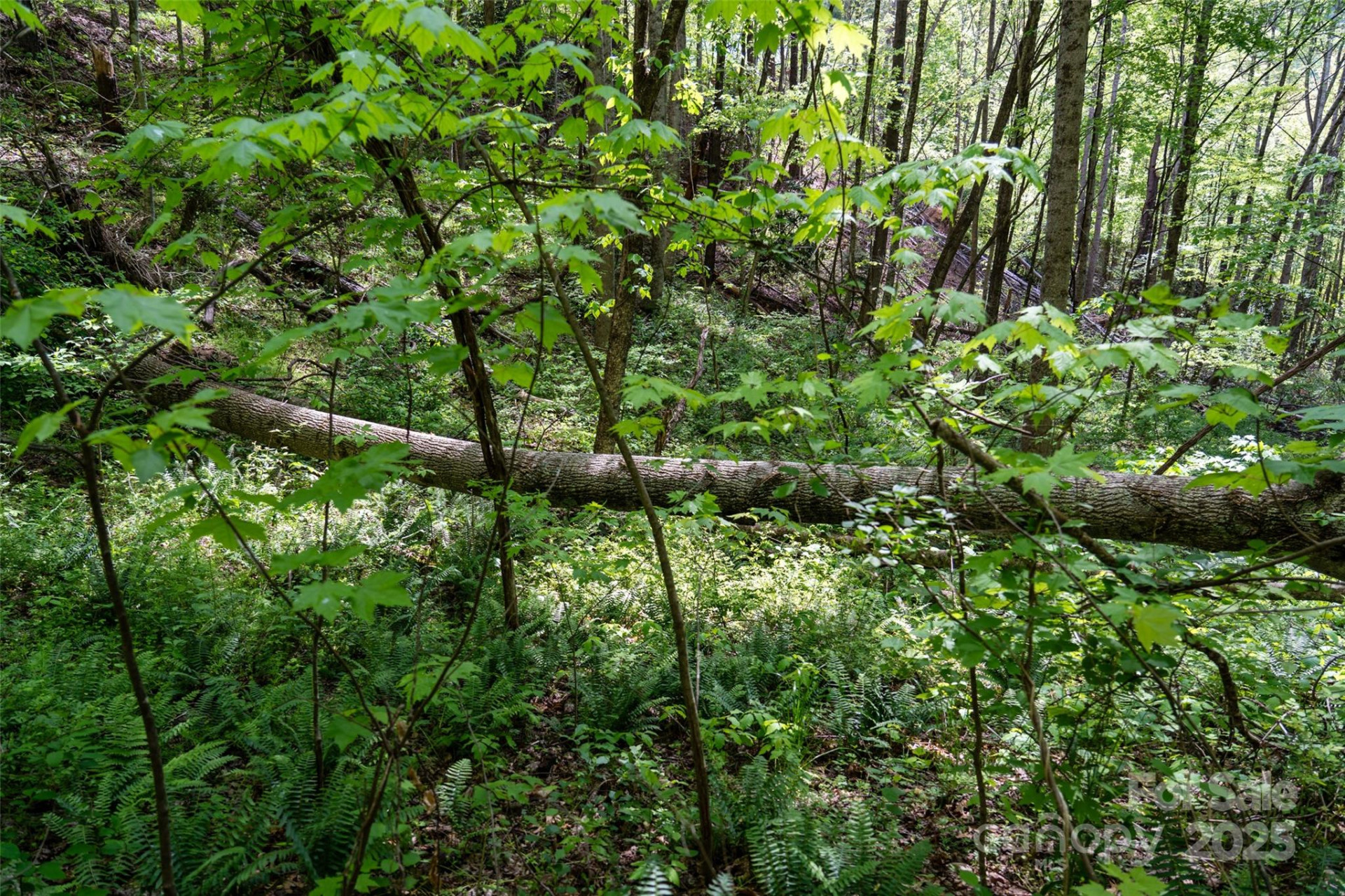 72 Lonesome Pines Road - Photo 14