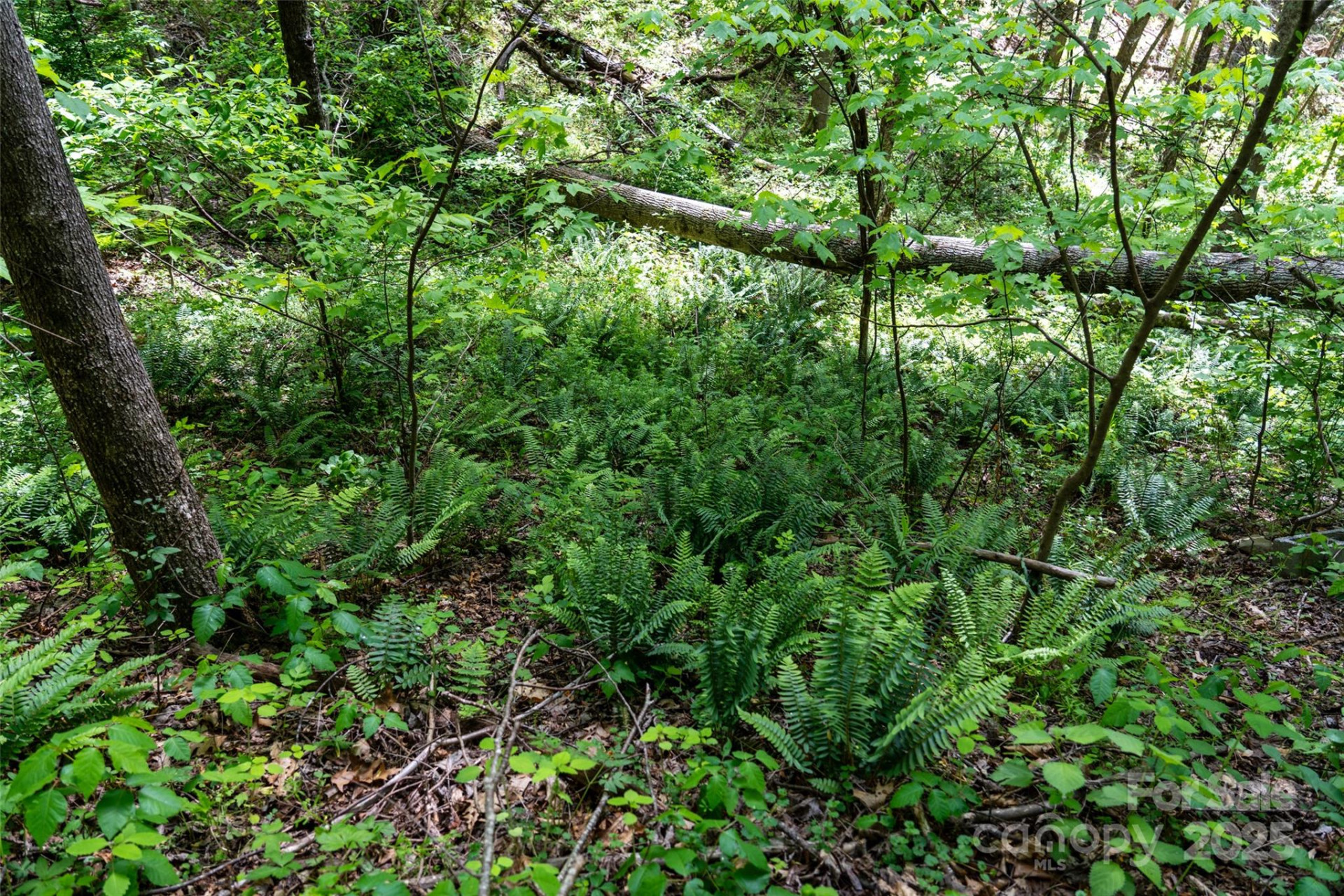 72 Lonesome Pines Road - Photo 15