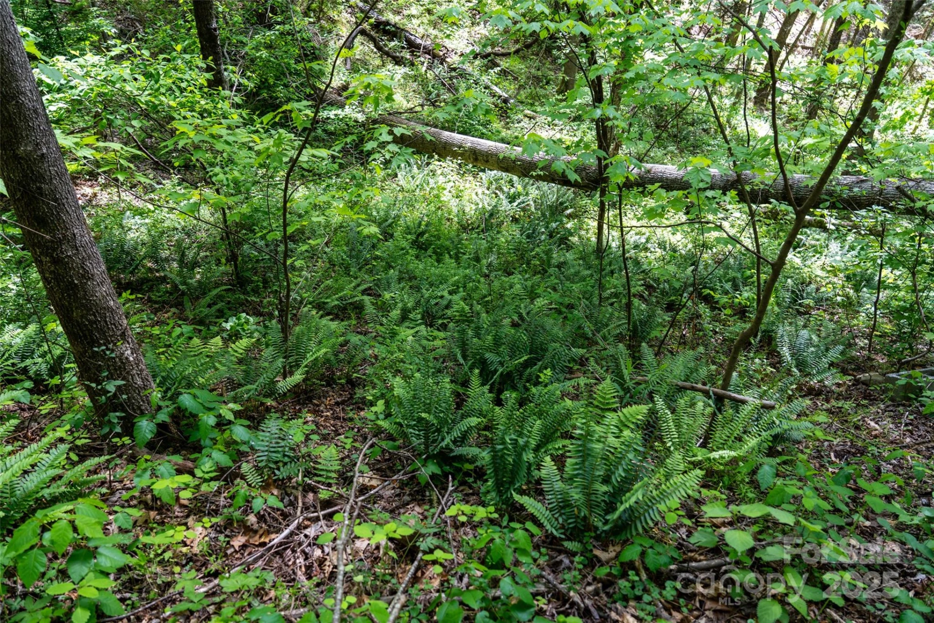 72 Lonesome Pines Road - Photo 15