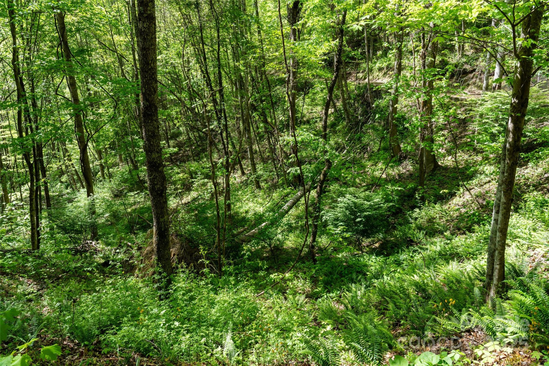 72 Lonesome Pines Road - Photo 18