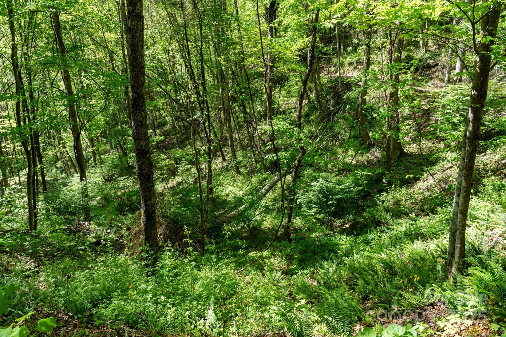 72 Lonesome Pines Road - Photo 18