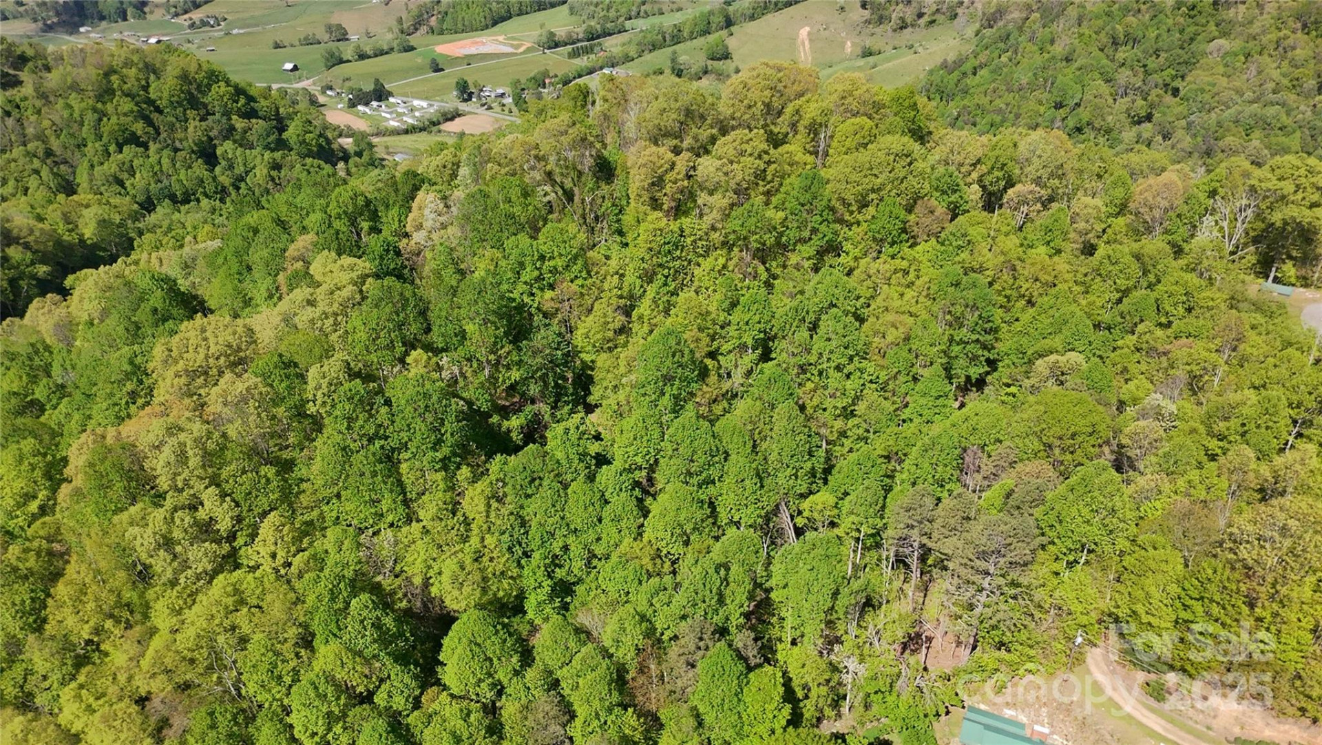 72 Lonesome Pines Road - Photo 24
