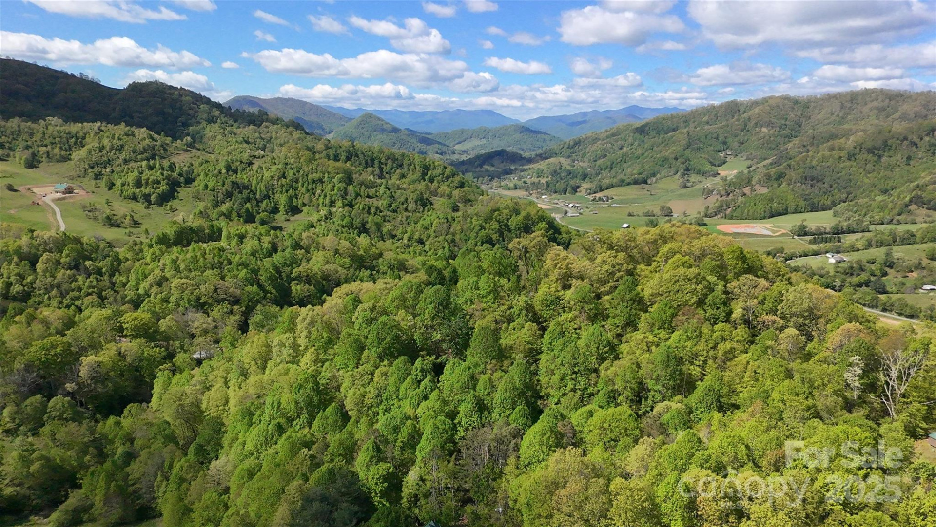 72 Lonesome Pines Road - Photo 6