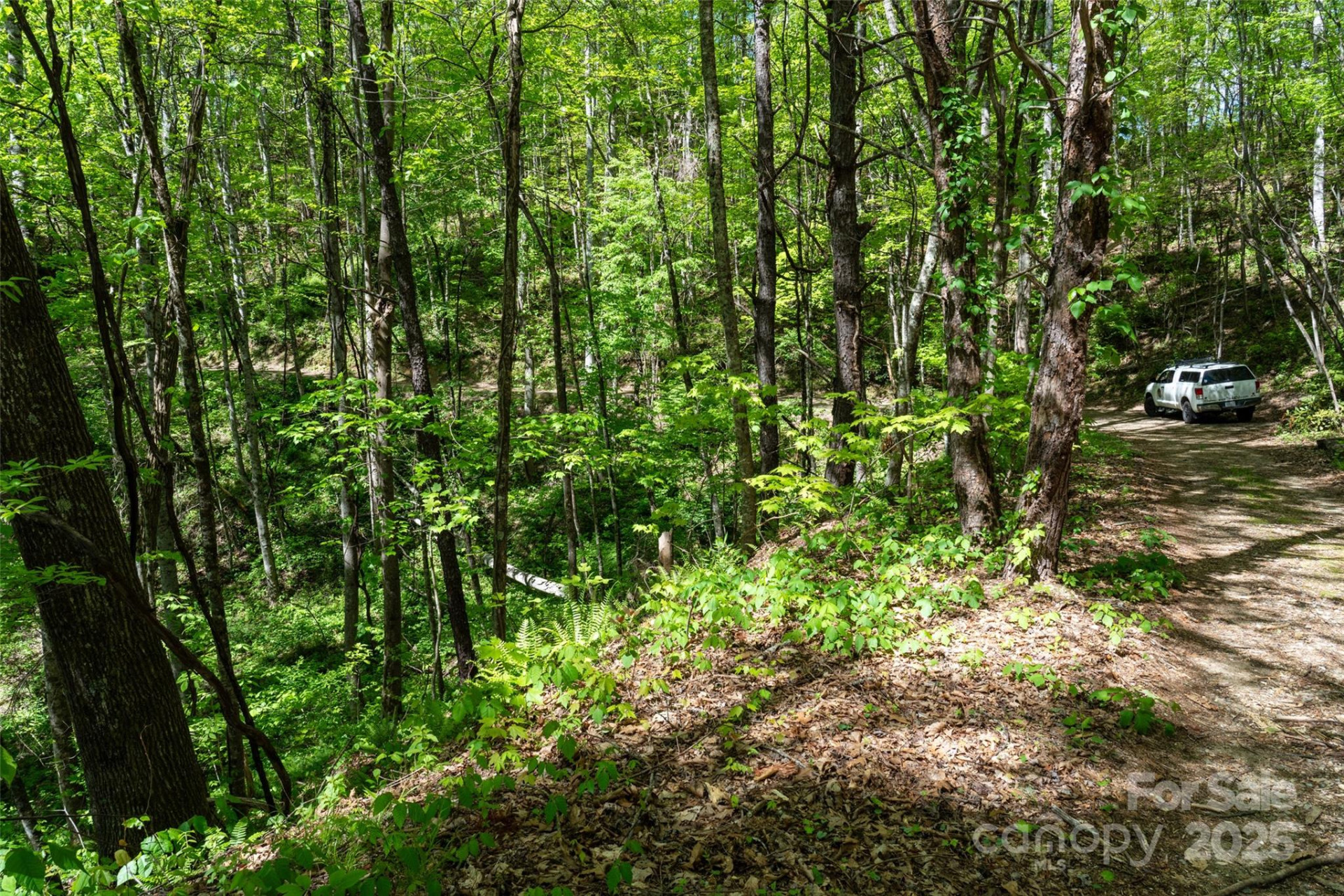 72 Lonesome Pines Road - Photo 8