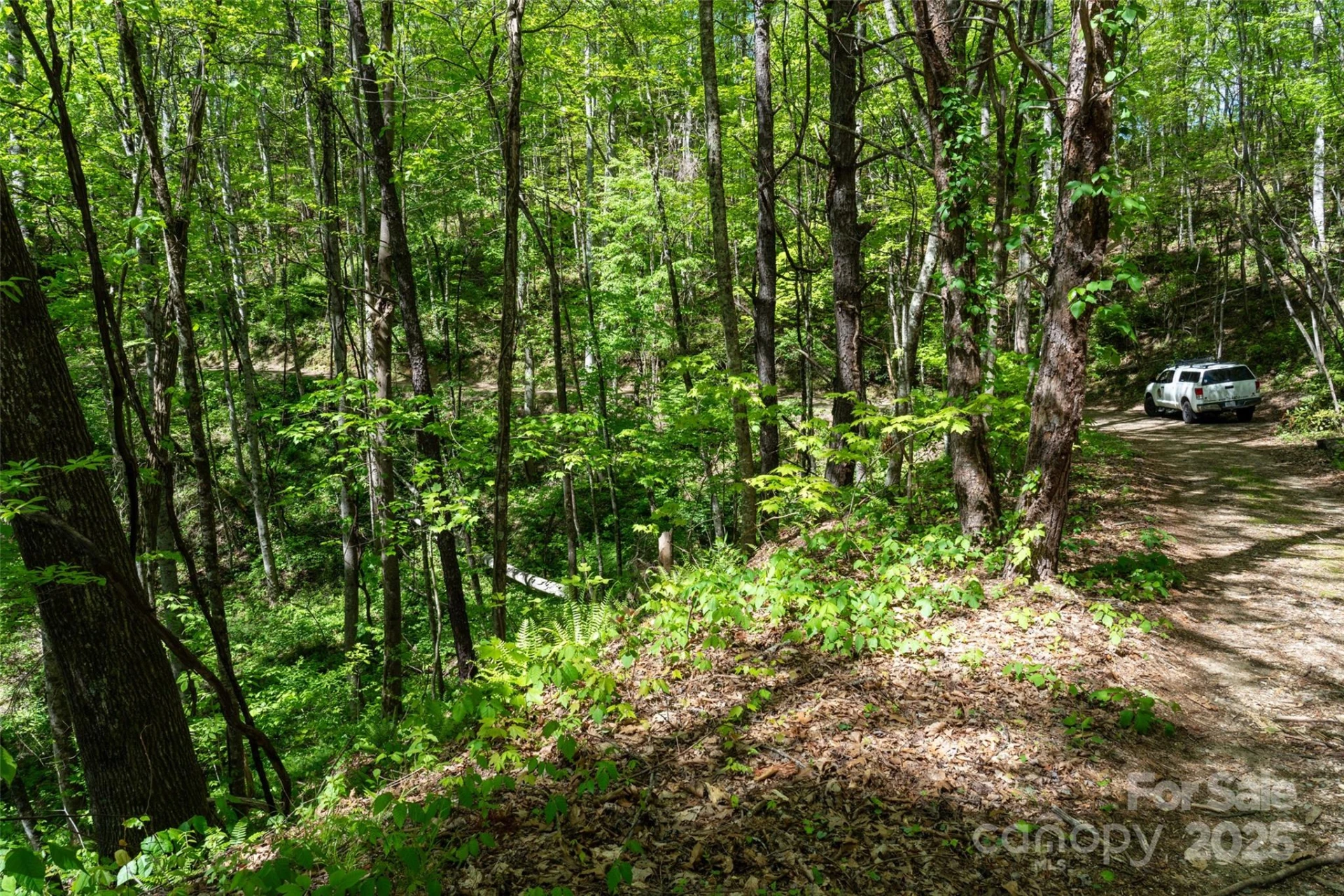 72 Lonesome Pines Road - Photo 8