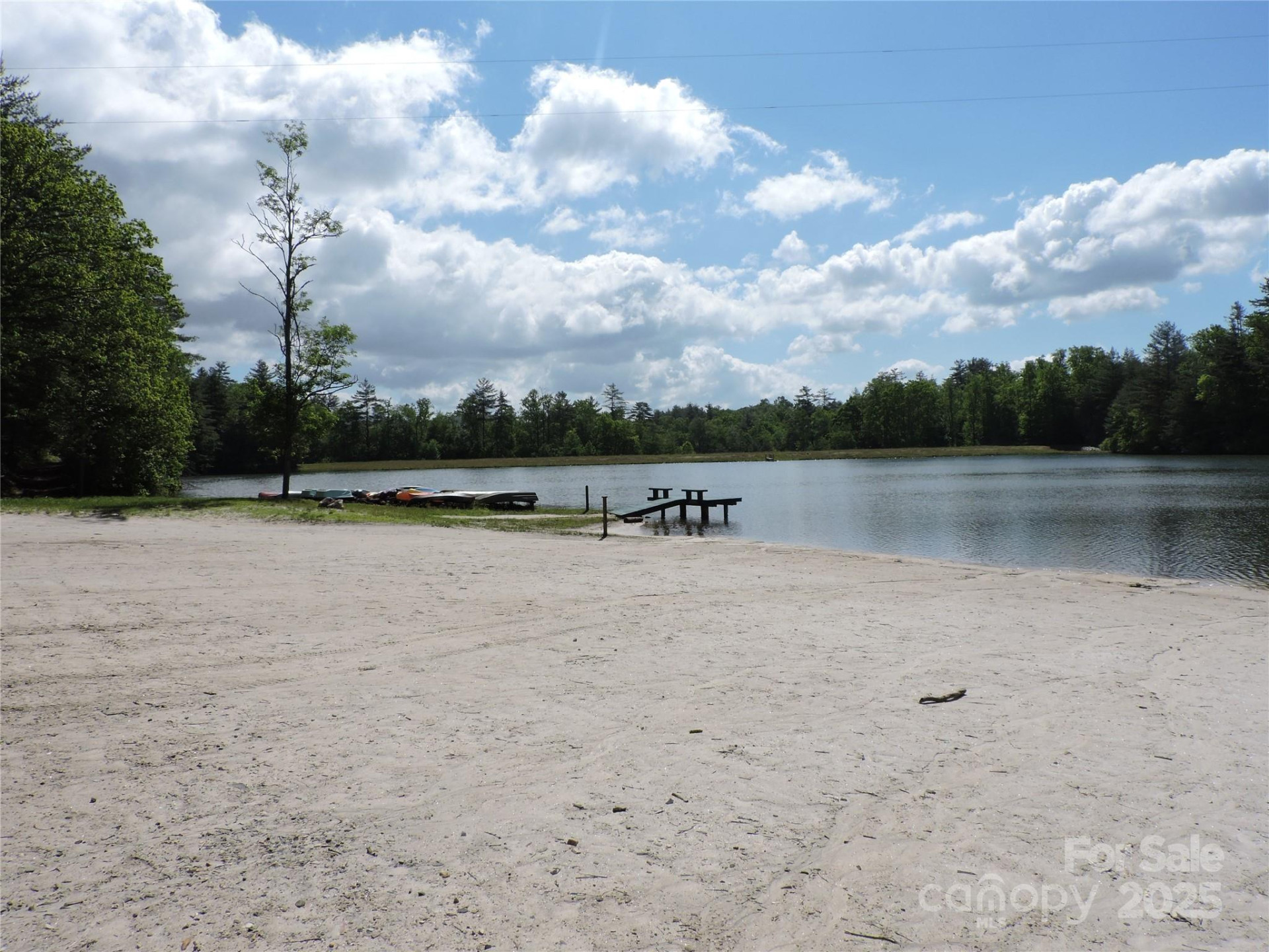 0 Swiss Pine Lake Drive - Photo 11