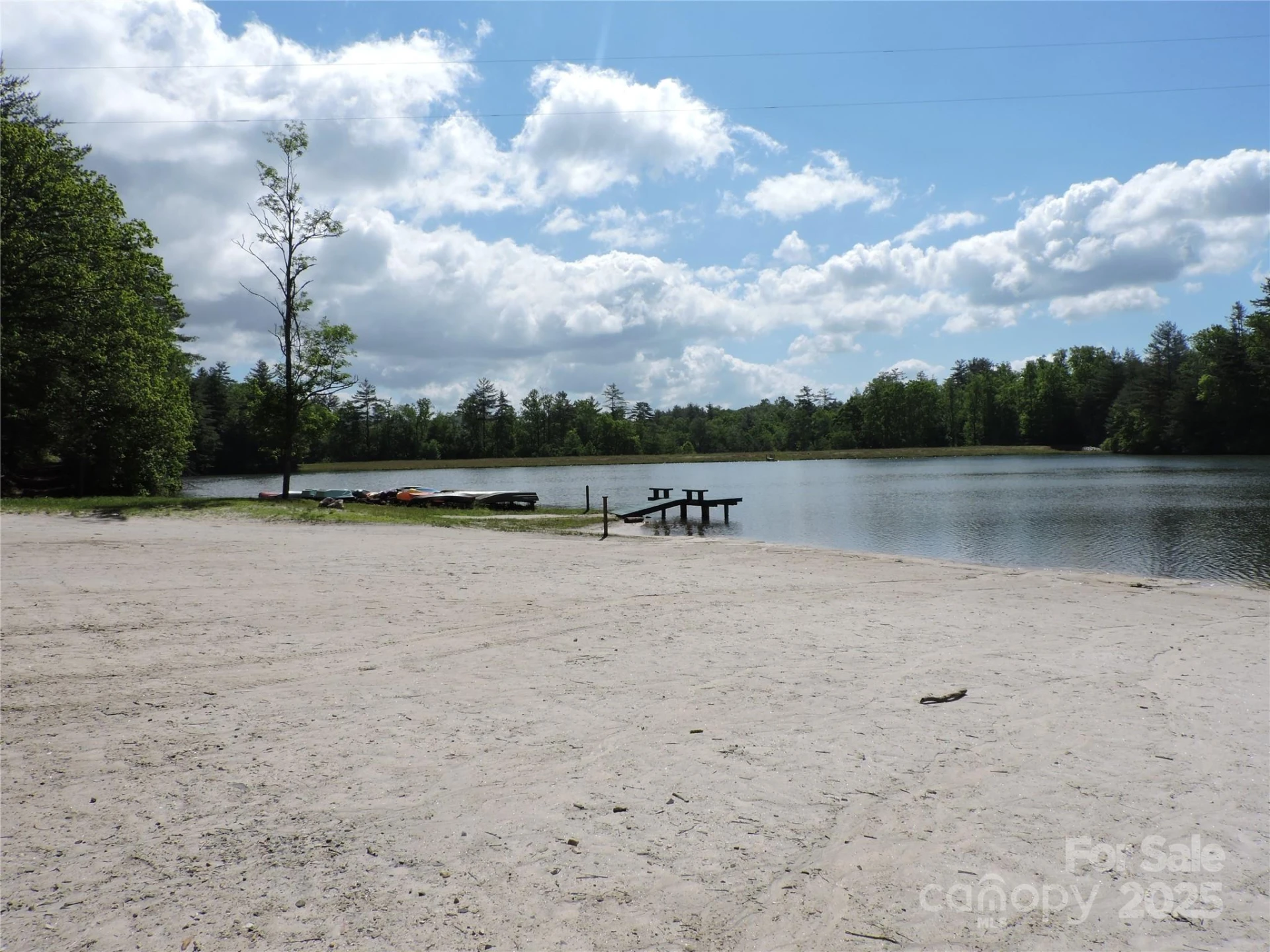 0 Swiss Pine Lake Drive - Photo 11