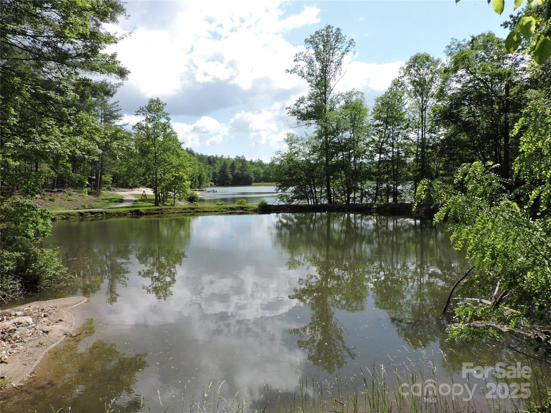 0 Swiss Pine Lake Drive - Photo 13