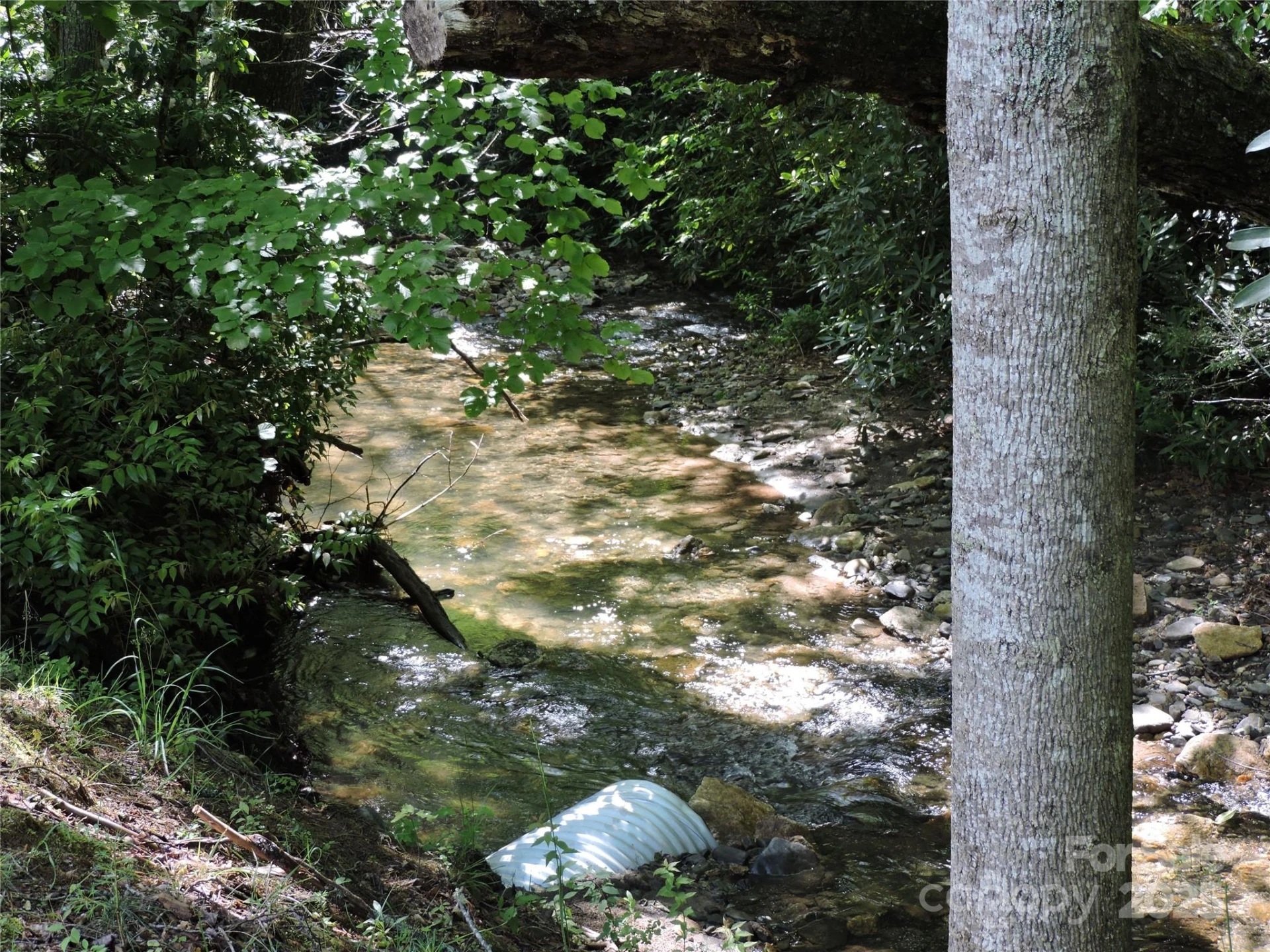 0 Swiss Pine Lake Drive - Photo 14