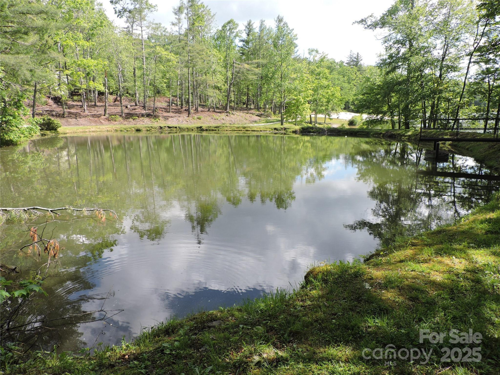 0 Swiss Pine Lake Drive - Photo 15