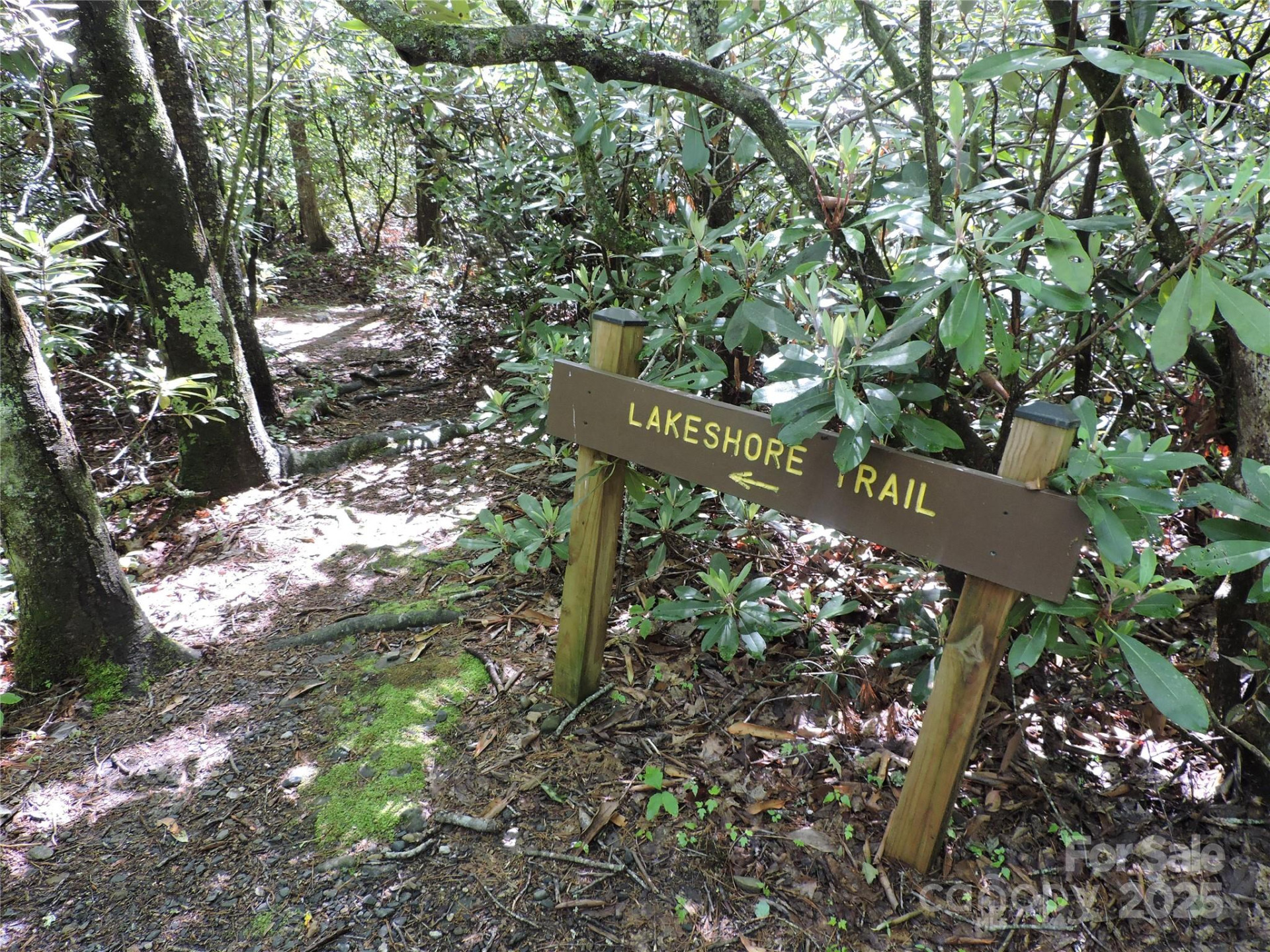 0 Swiss Pine Lake Drive - Photo 16