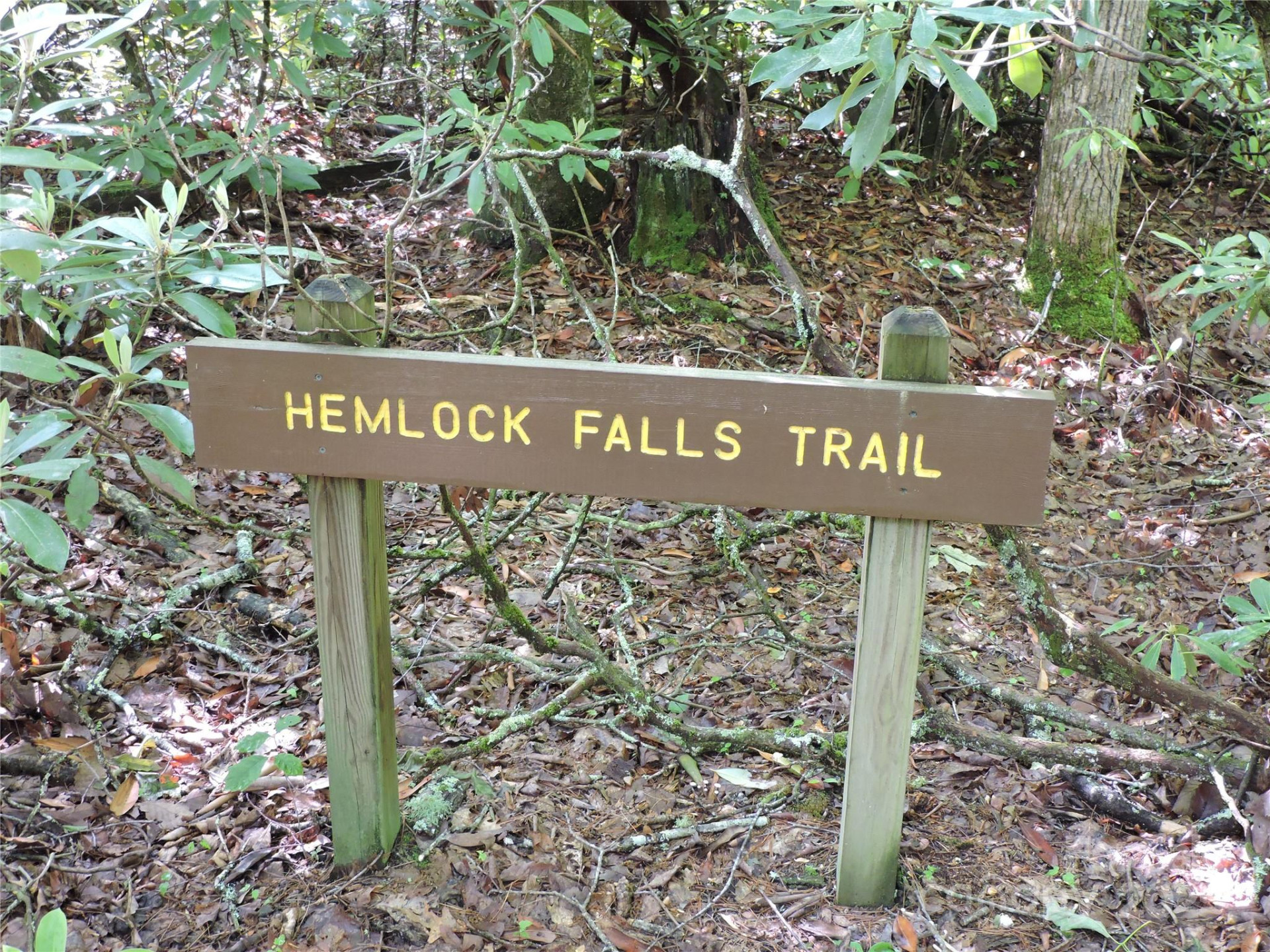 0 Swiss Pine Lake Drive - Photo 17