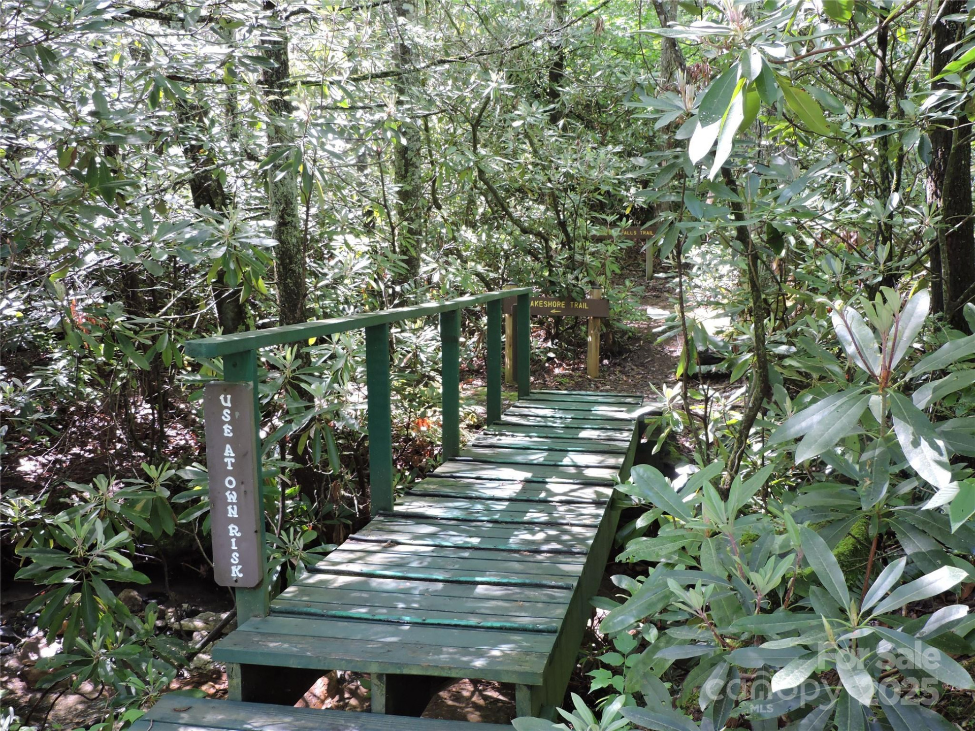 0 Swiss Pine Lake Drive - Photo 18