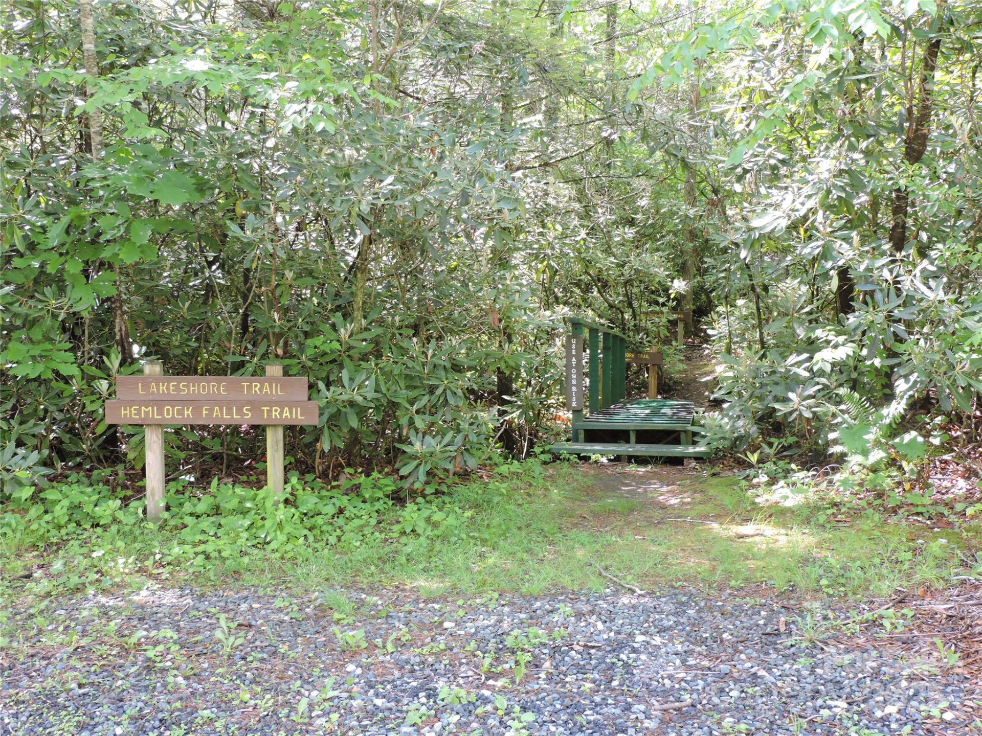 0 Swiss Pine Lake Drive - Photo 19