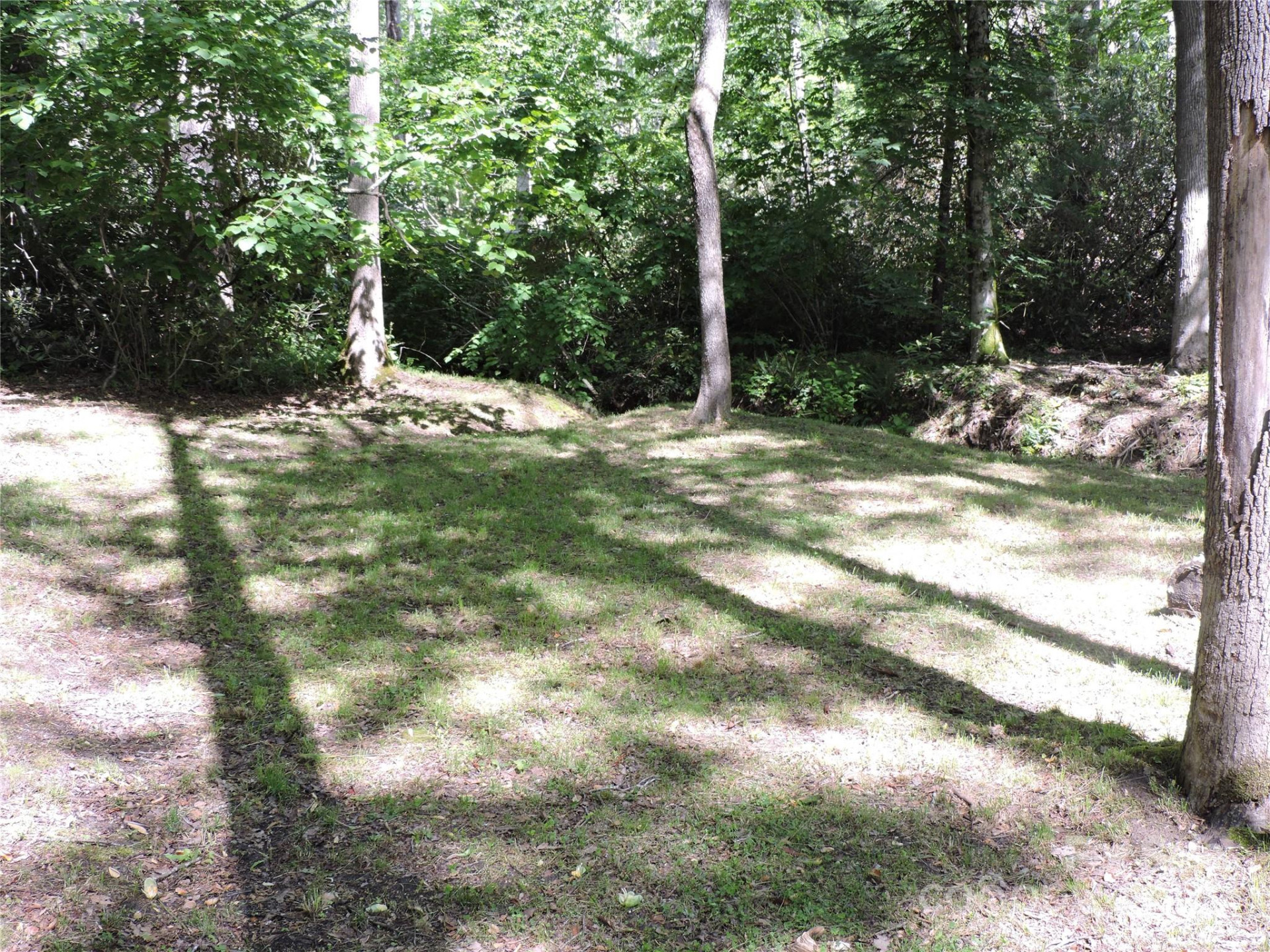 0 Swiss Pine Lake Drive - Photo 20