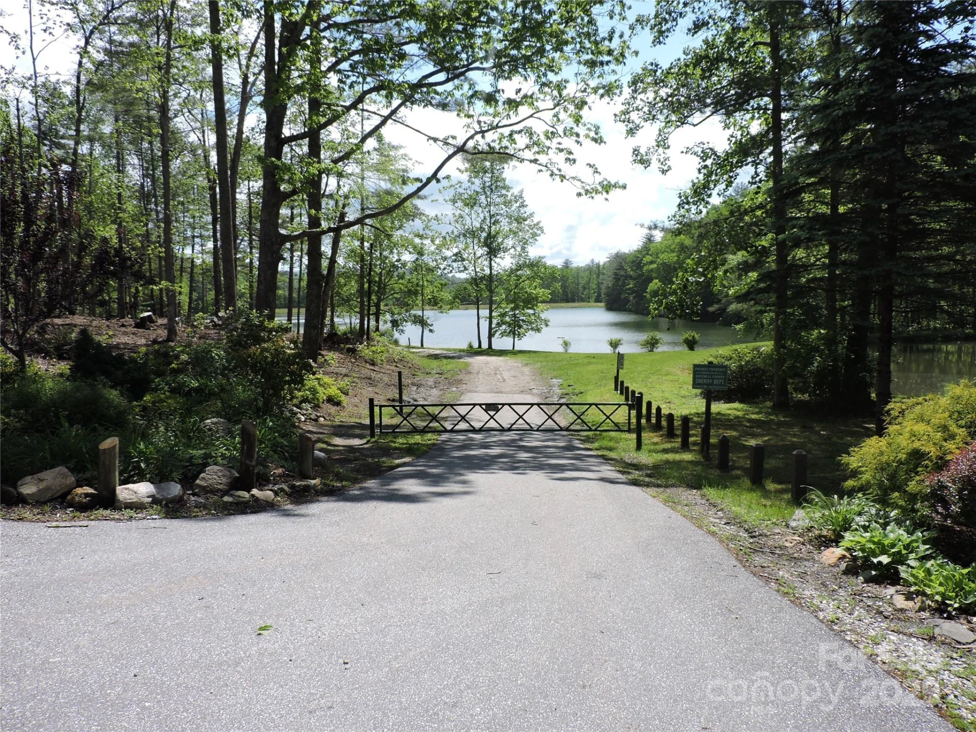 0 Swiss Pine Lake Drive - Photo 3