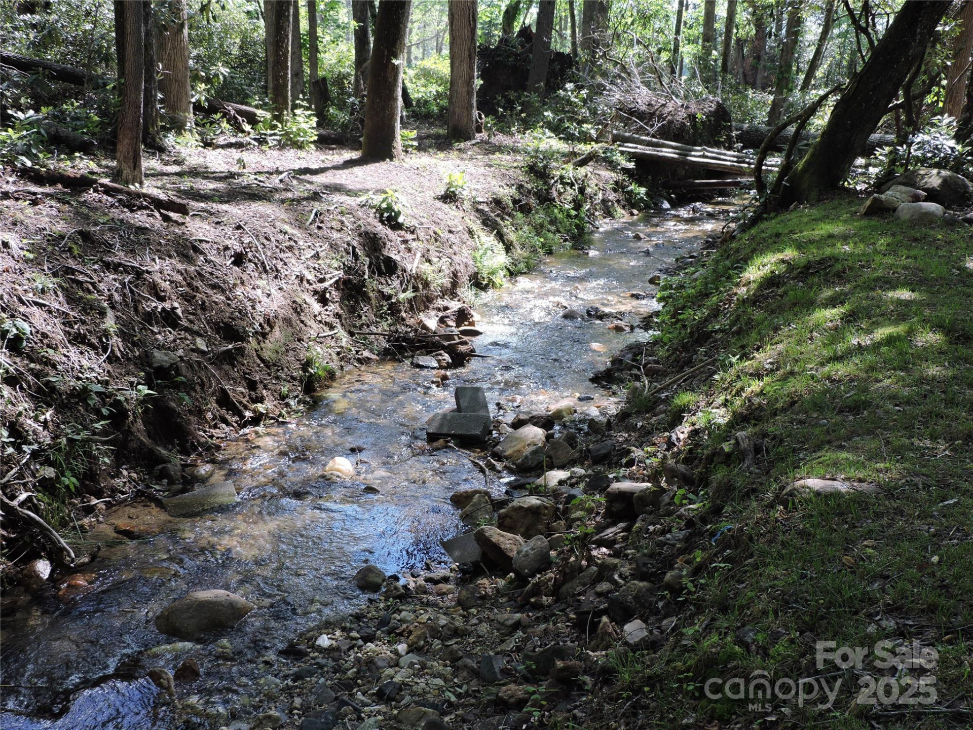 0 Swiss Pine Lake Drive - Photo 21