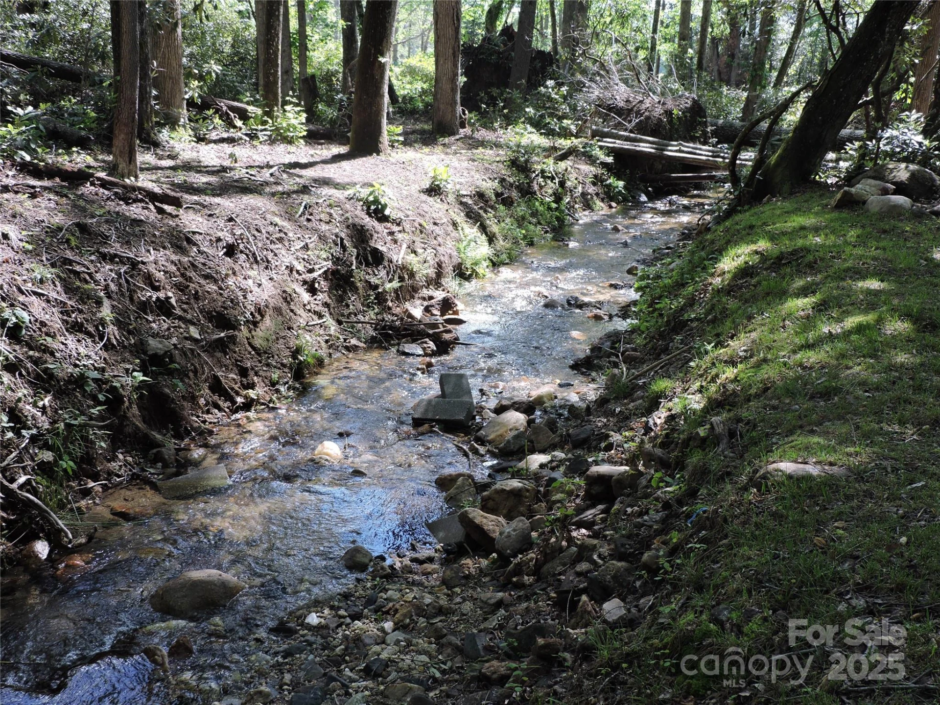 0 Swiss Pine Lake Drive - Photo 21