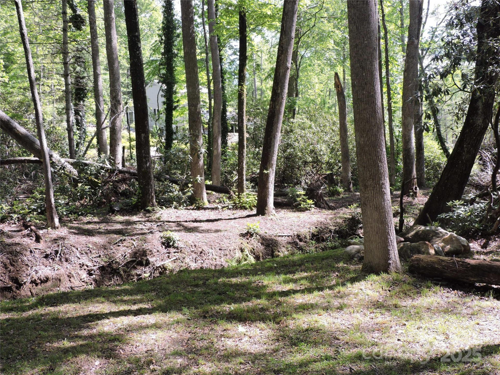 0 Swiss Pine Lake Drive - Photo 22