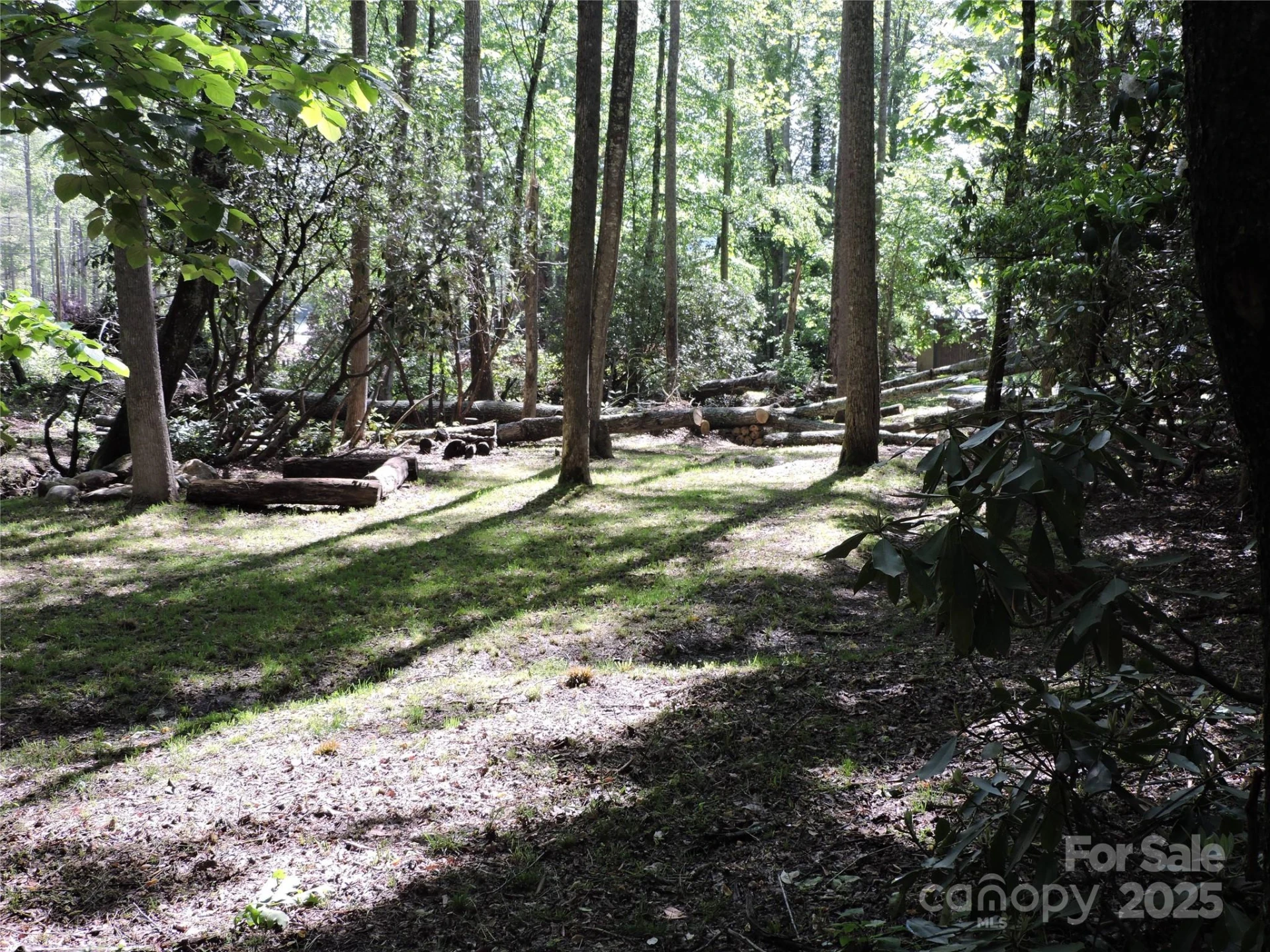 0 Swiss Pine Lake Drive - Photo 23