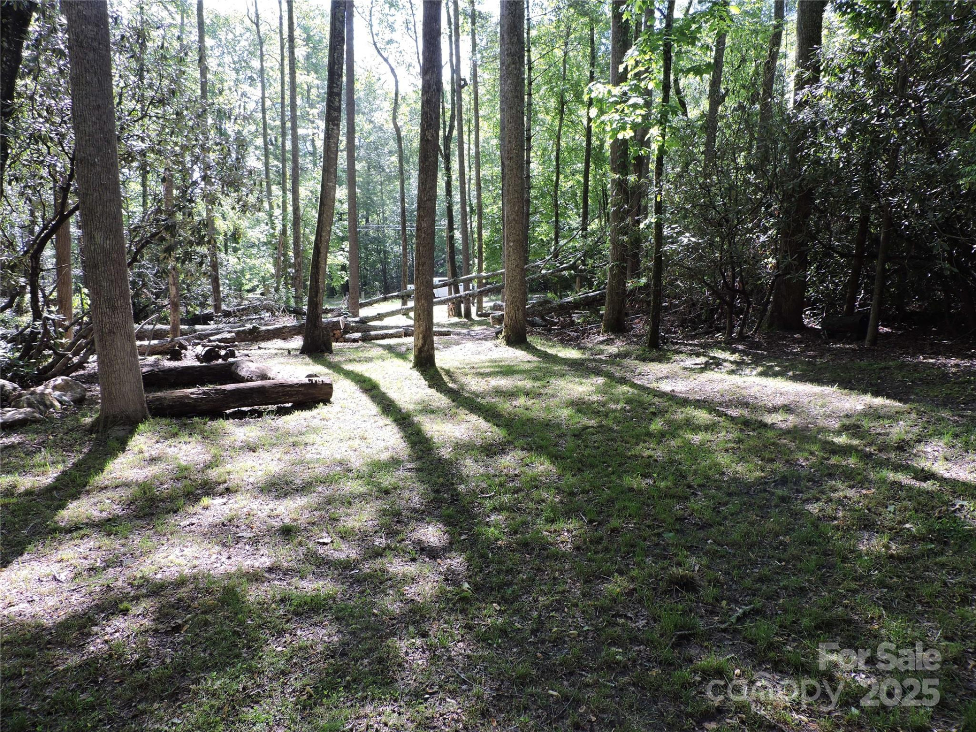 0 Swiss Pine Lake Drive - Photo 26