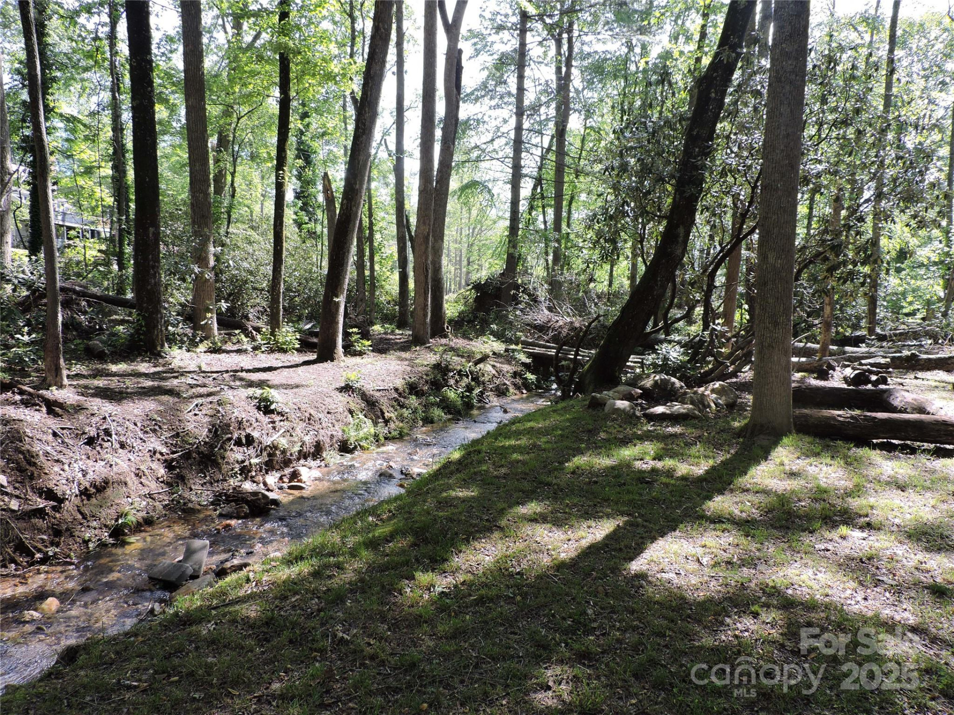 0 Swiss Pine Lake Drive - Photo 27