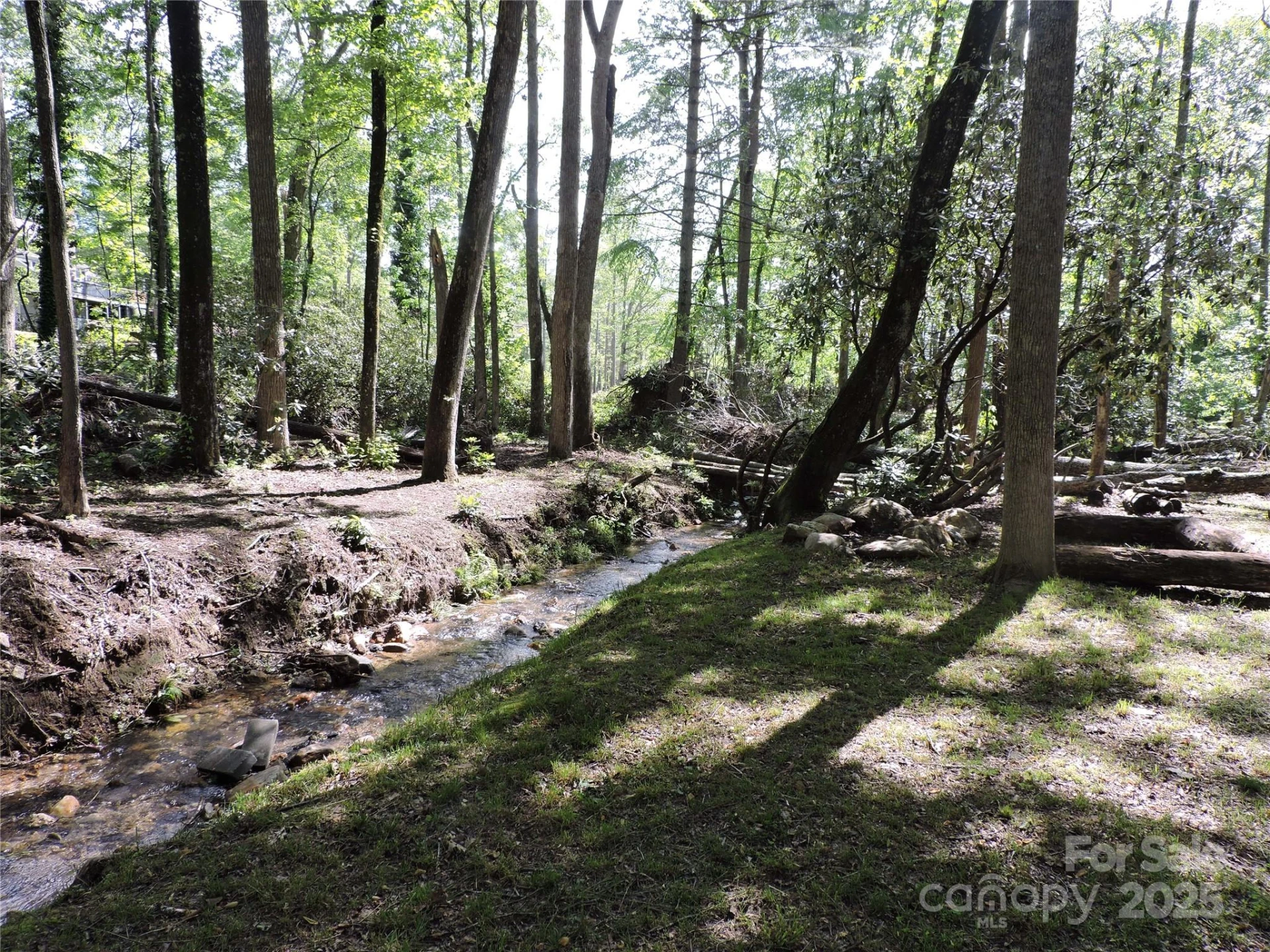 0 Swiss Pine Lake Drive - Photo 27