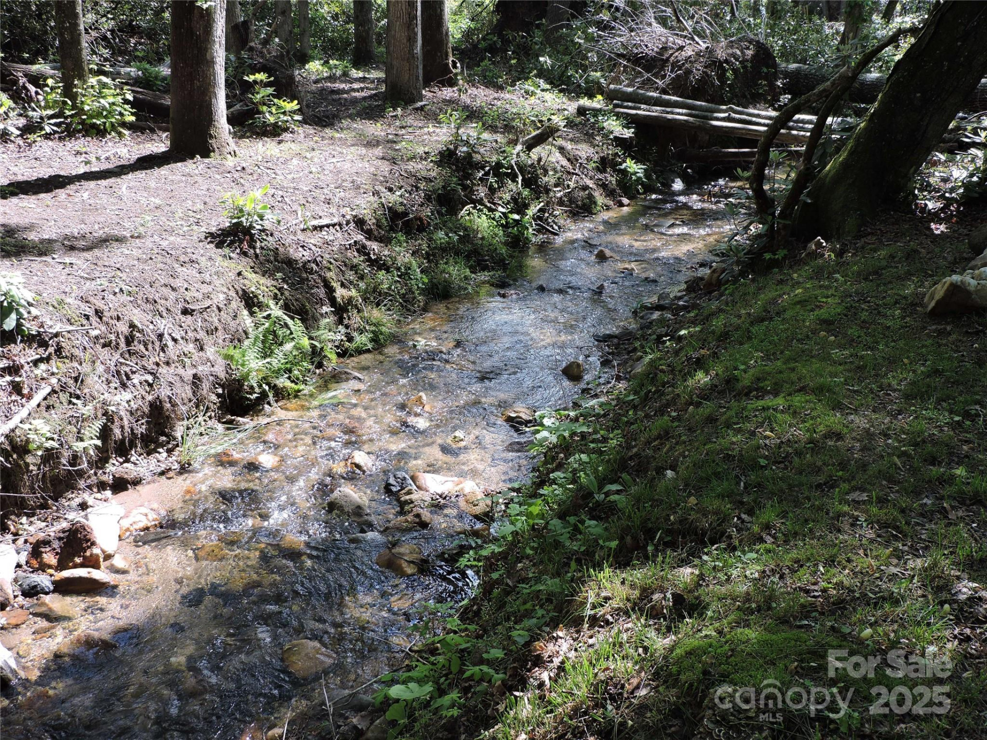 0 Swiss Pine Lake Drive - Photo 29