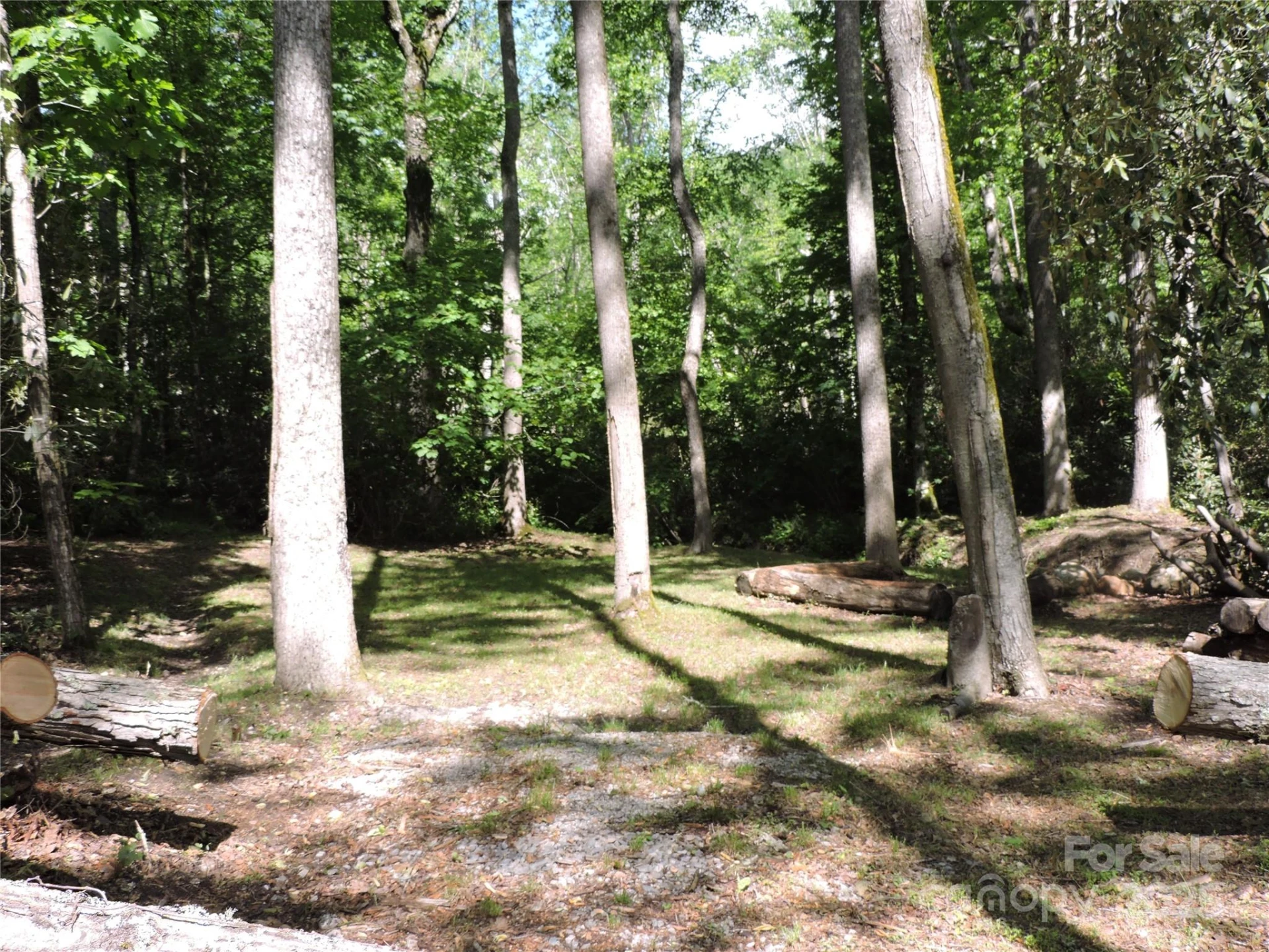 0 Swiss Pine Lake Drive - Photo 30