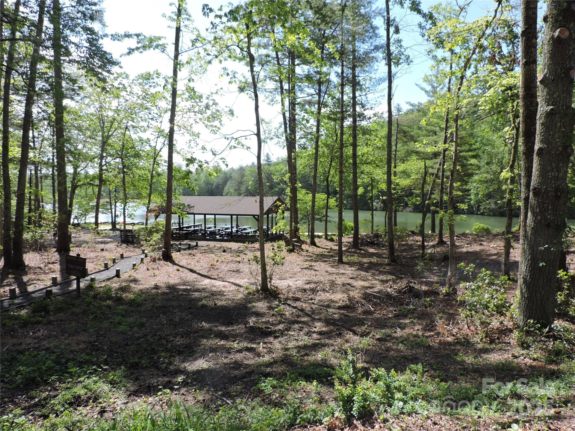 0 Swiss Pine Lake Drive - Photo 4